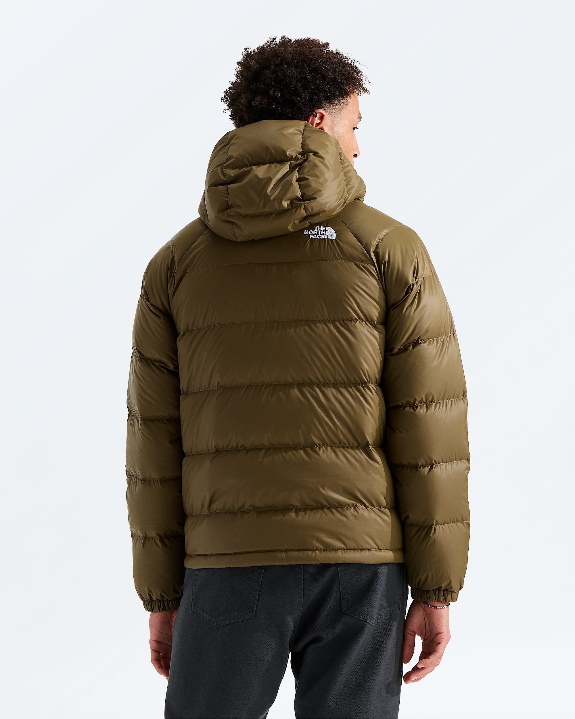 Mens Hydrenalite Down Hoodie TNF BACK