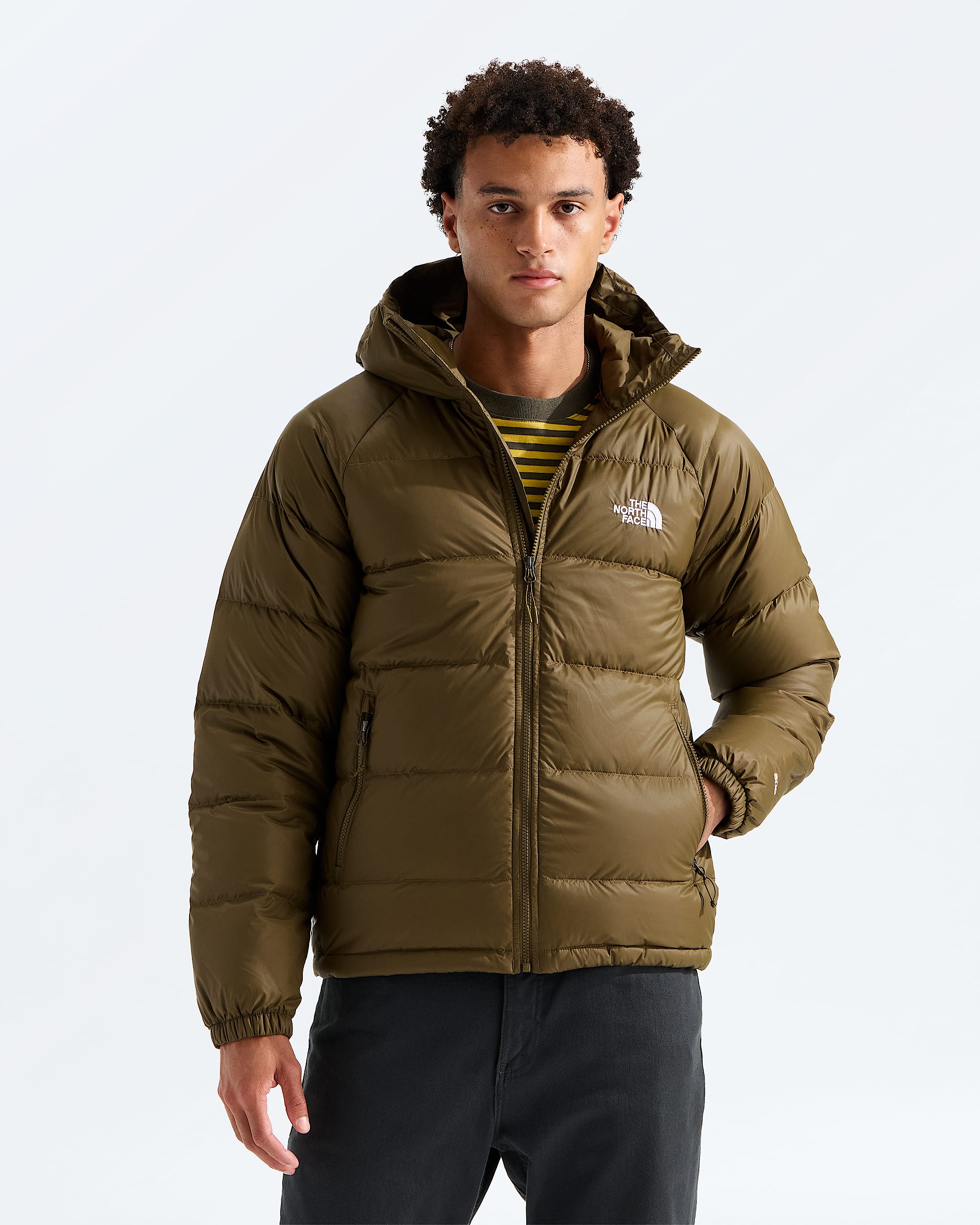 Mens Hydrenalite Down Hoodie TNF Main
