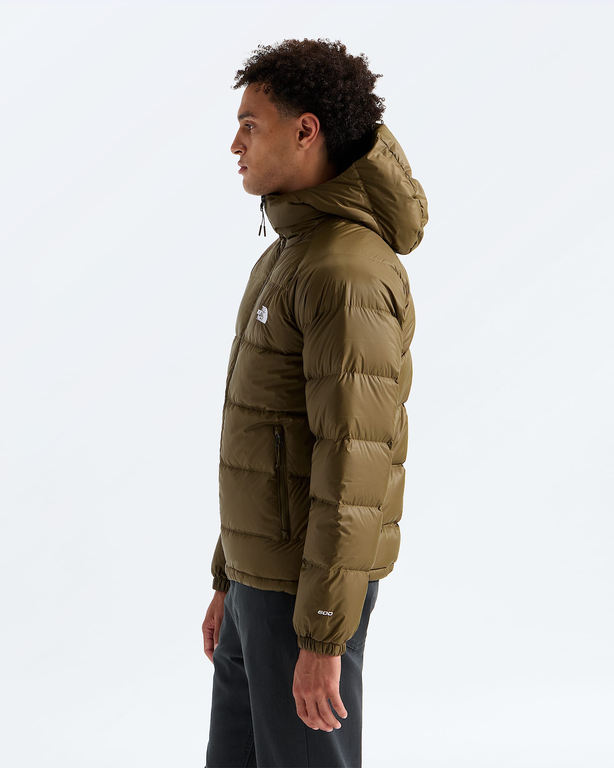 Mens Hydrenalite Down Hoodie TNF MODEL34
