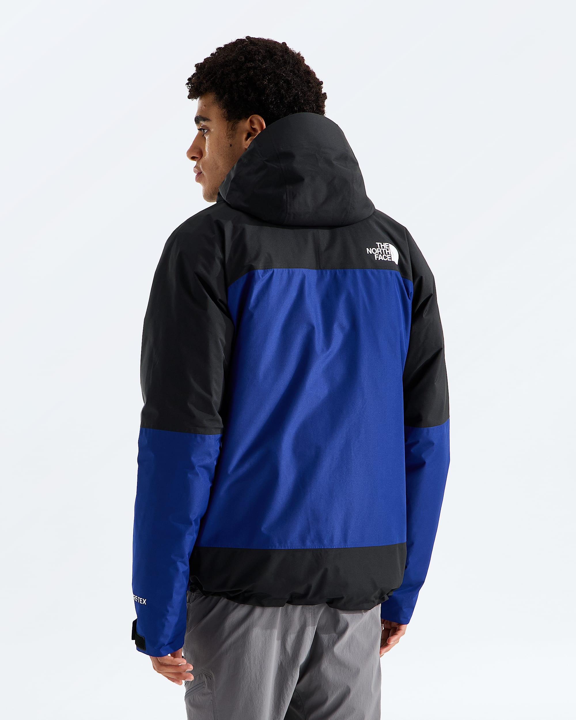 Mens Mountain Light Triclimate GORETEX Jacket TNF BACK