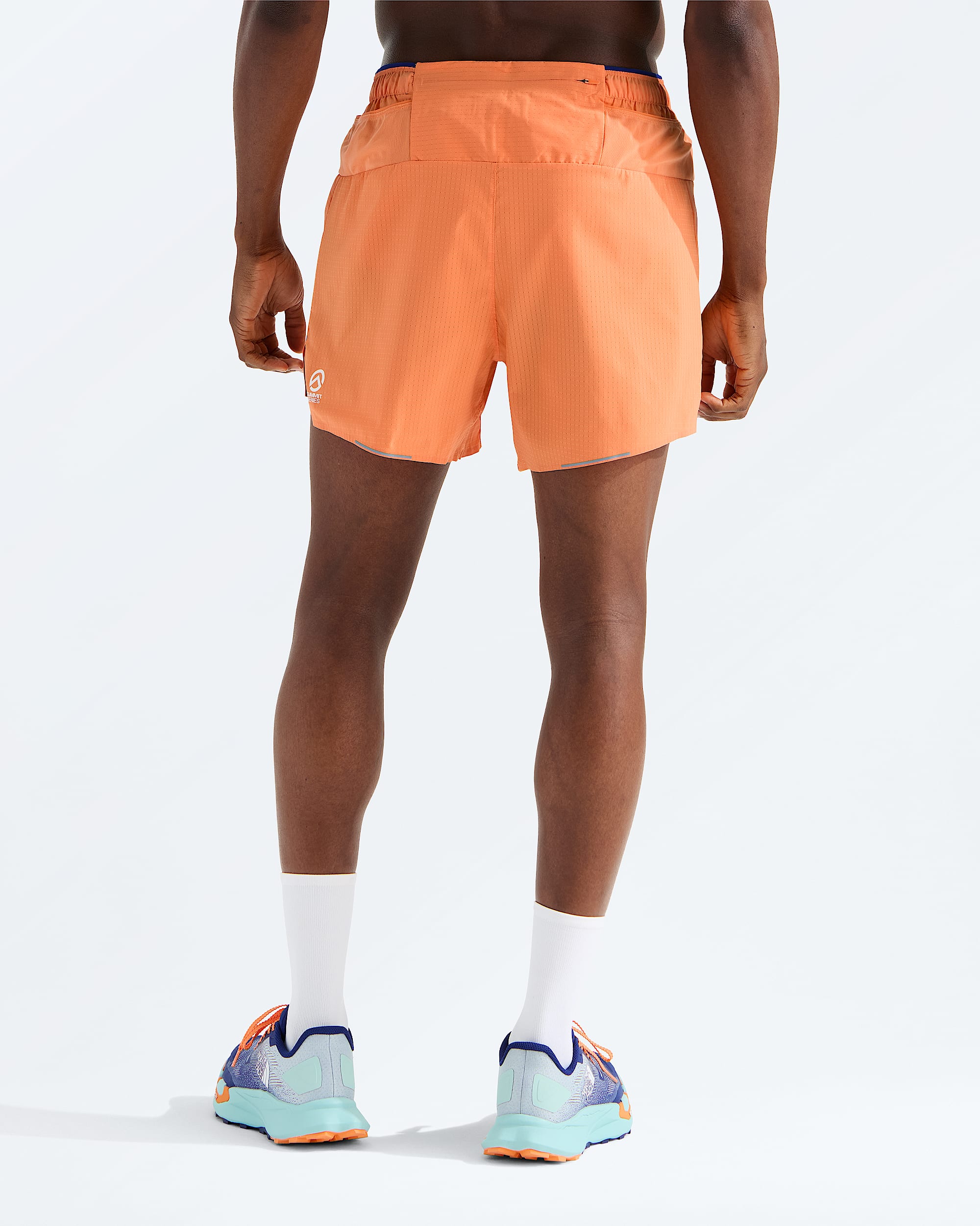 Short Pacesetter de 75 cm 5 po de la collection Summit Series pour hommes imprim TNF BACK