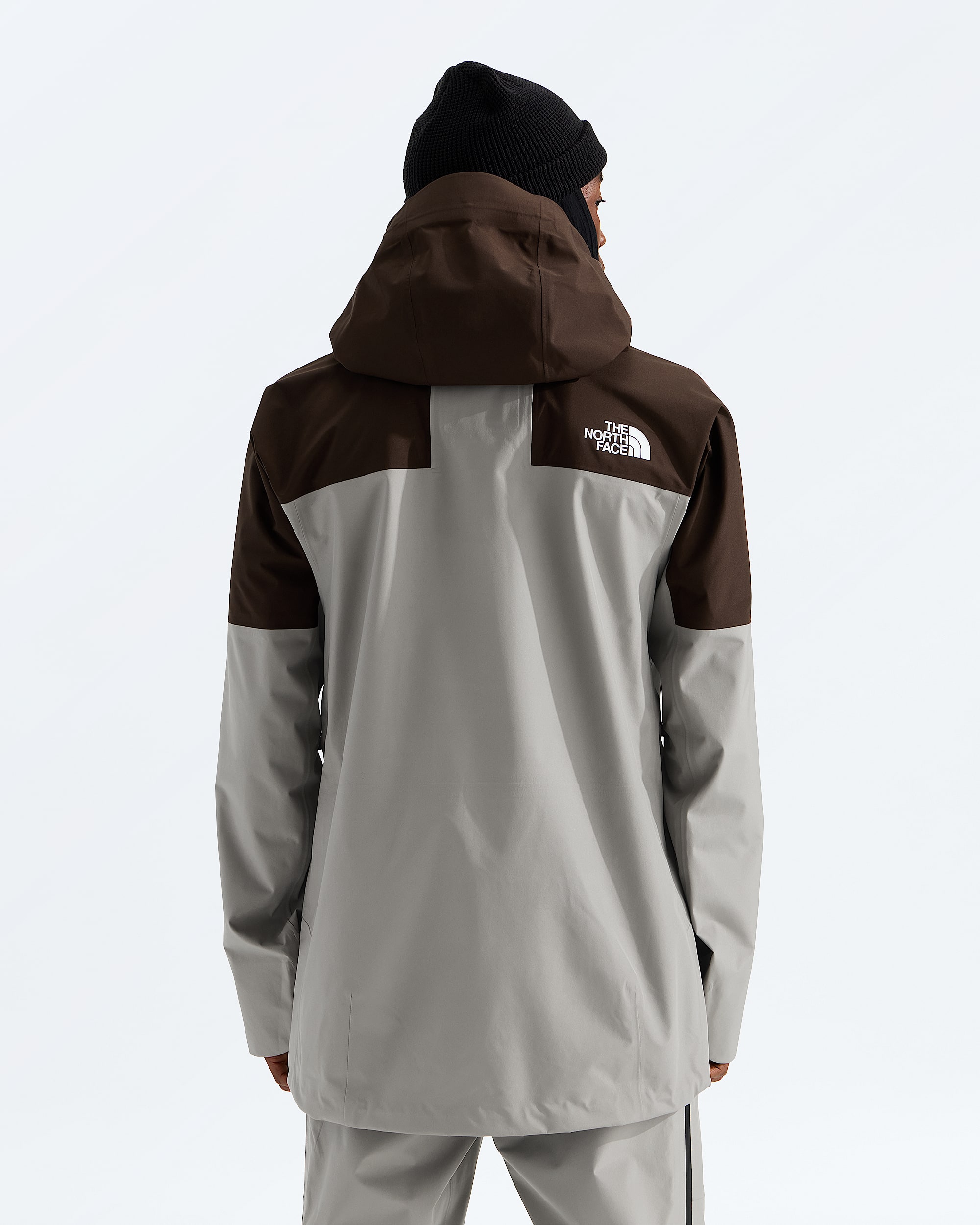 Mens Summit Eastwall GTX Jacket TNF BACK