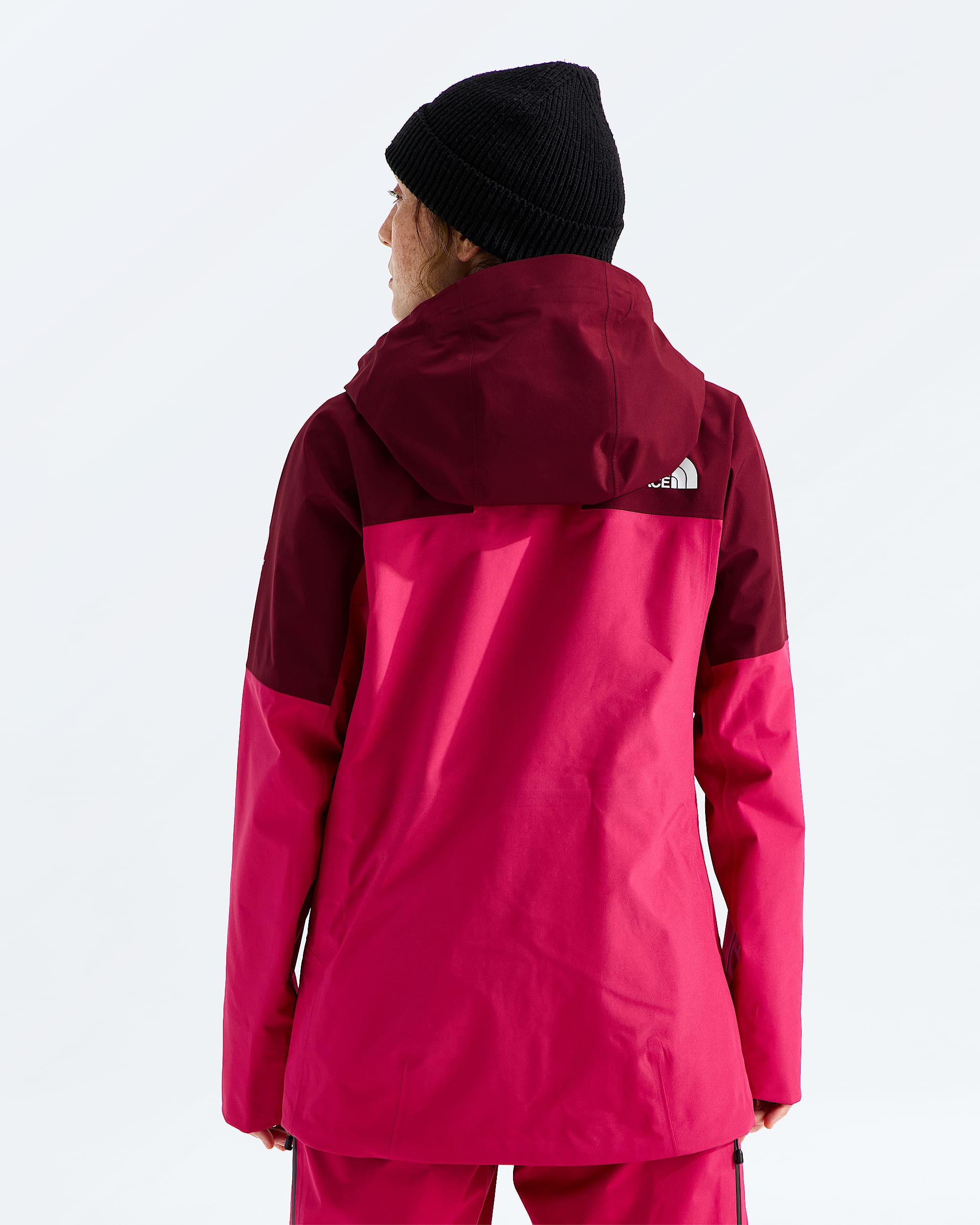 Womens Summit Eastwall GTX Jacket TNF BACK