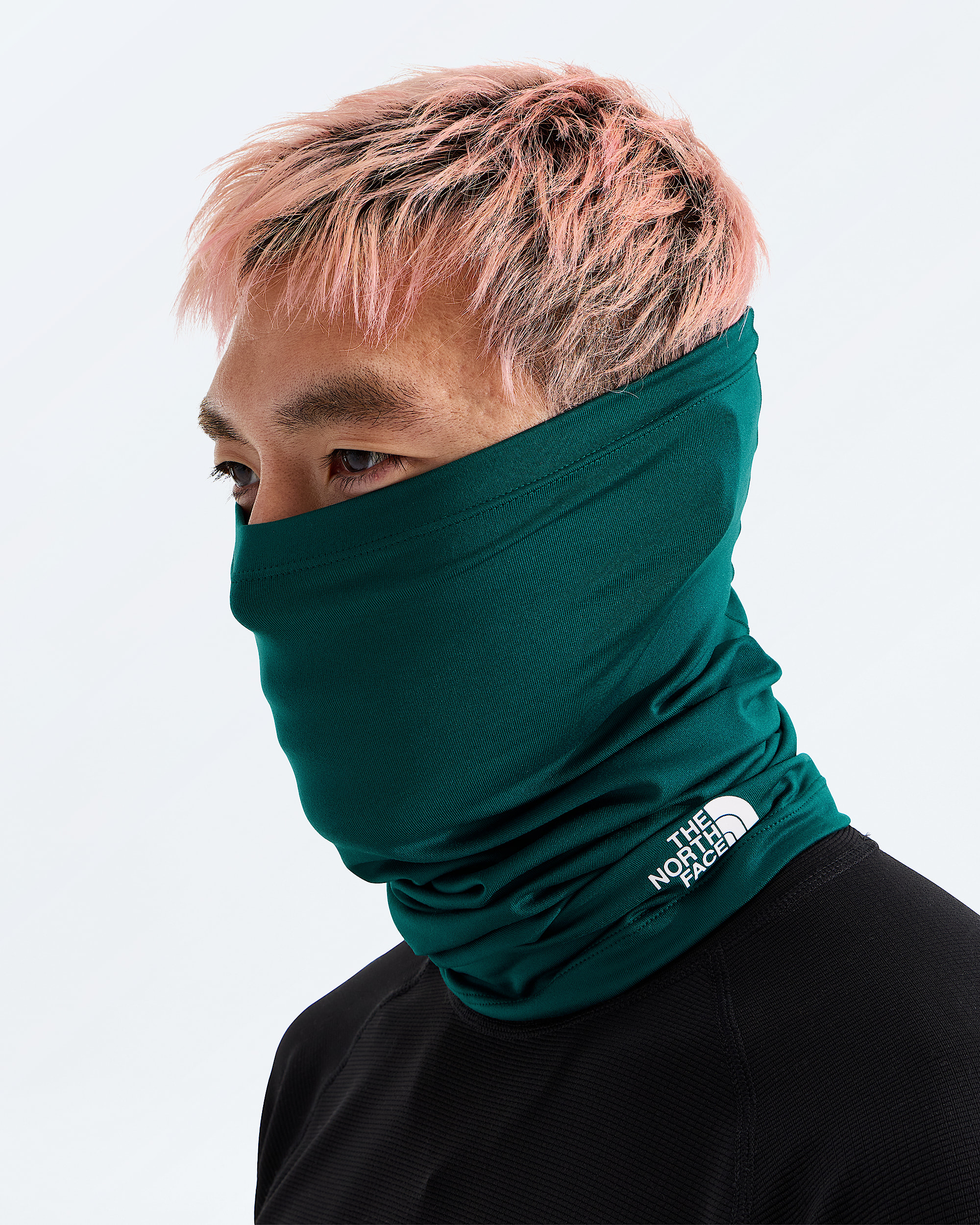 Dipsea Cover It TNF MODELBACK