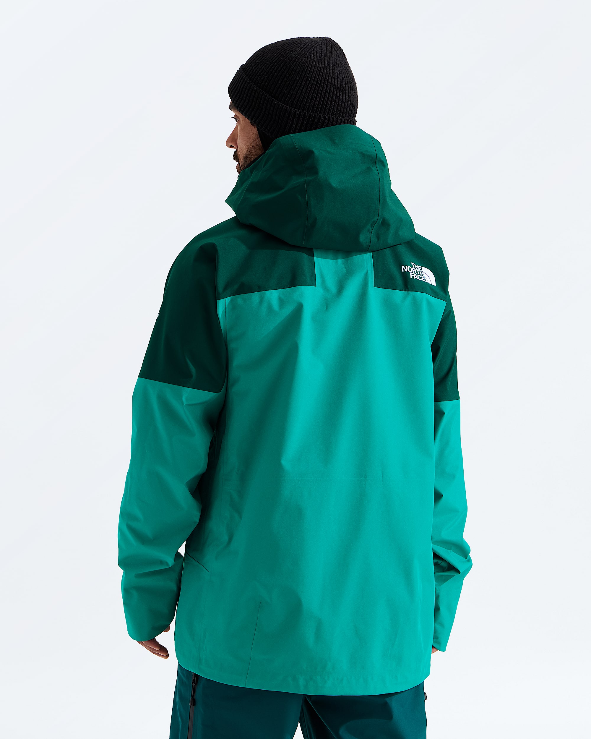 Manteau Summit Series Eastwall GORETEX pour hommes TNF BACK