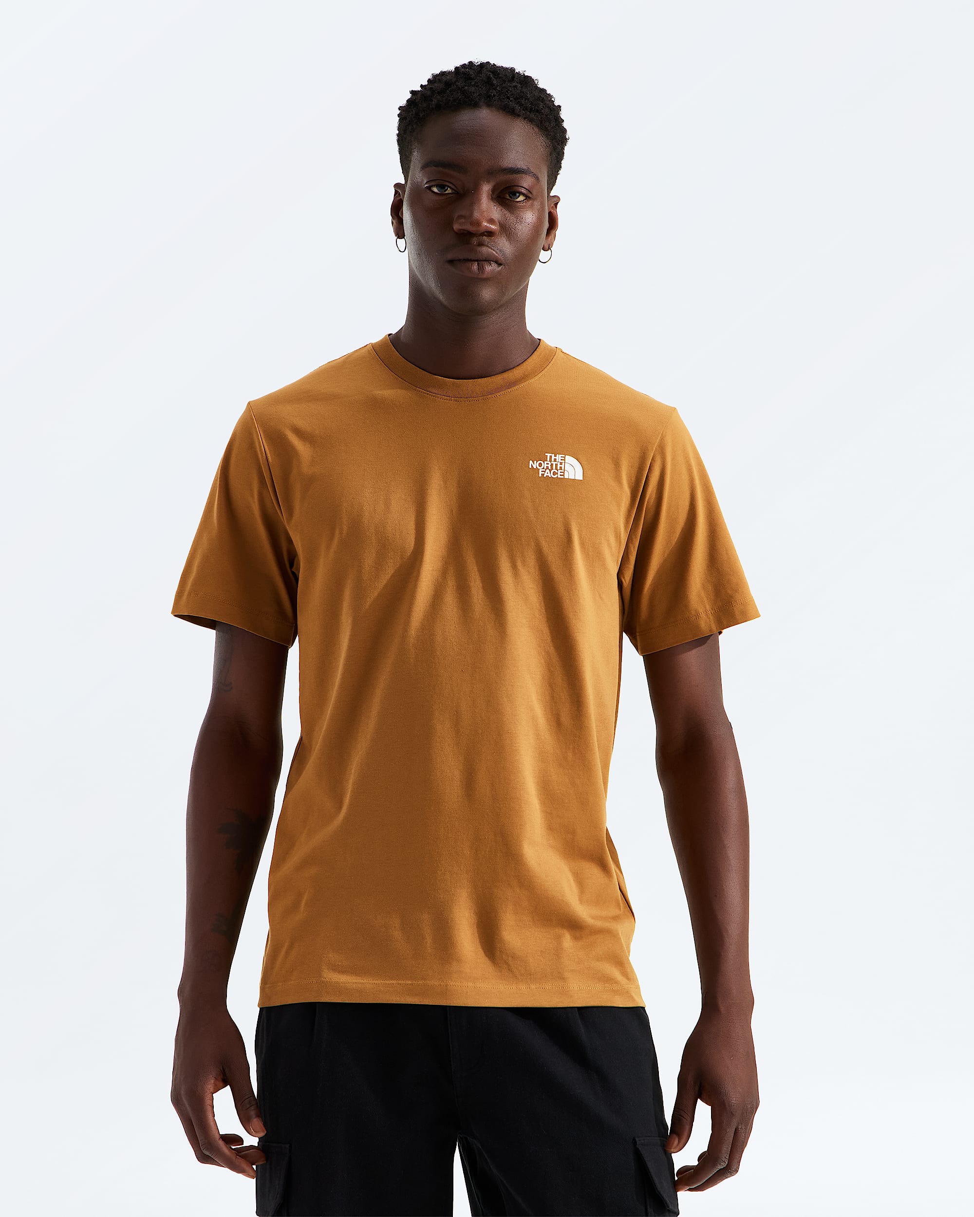 Mens Mountainscape Regular ShortSleeve Tee TNF BACK