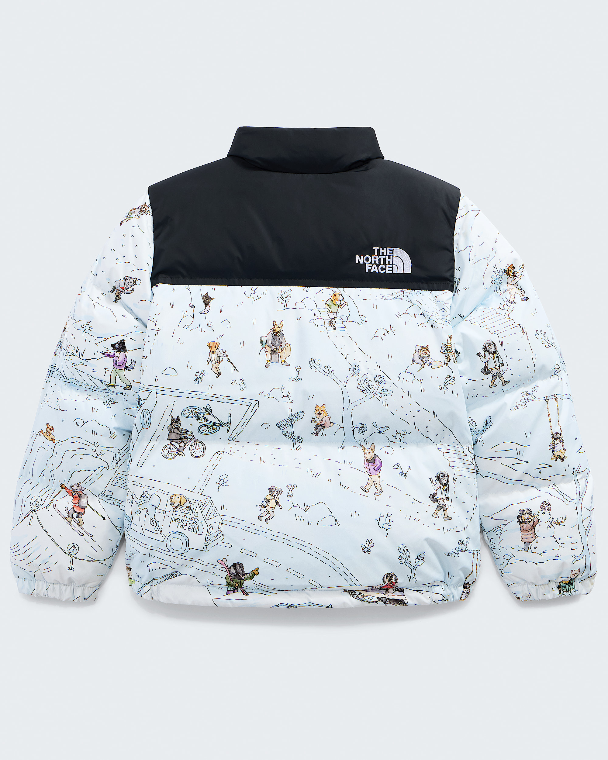 Kids 1996 Retro Nuptse JacketPrint TNF BACK