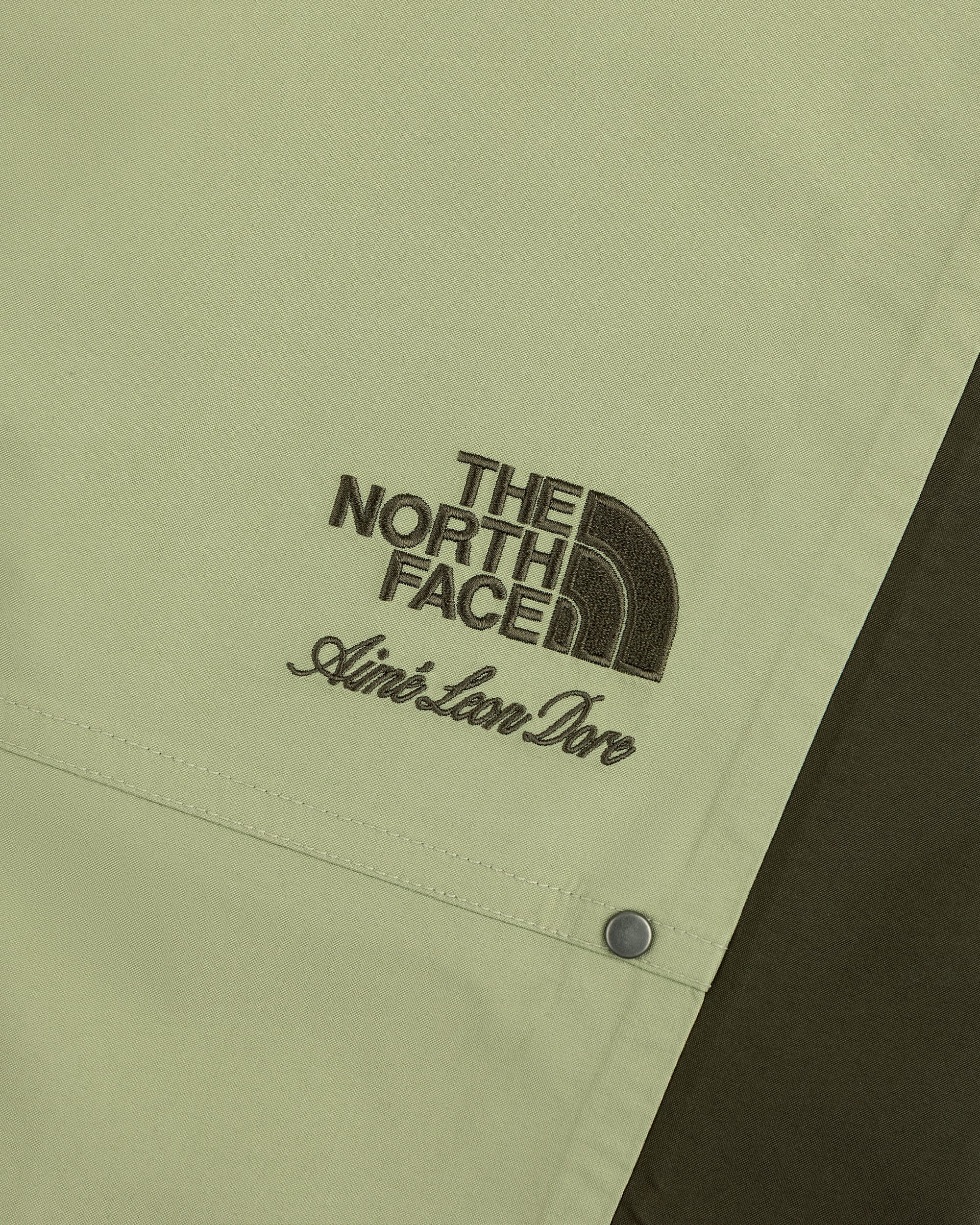TNF X Aim Leon Dore GORETEX Pant TNF ALT1