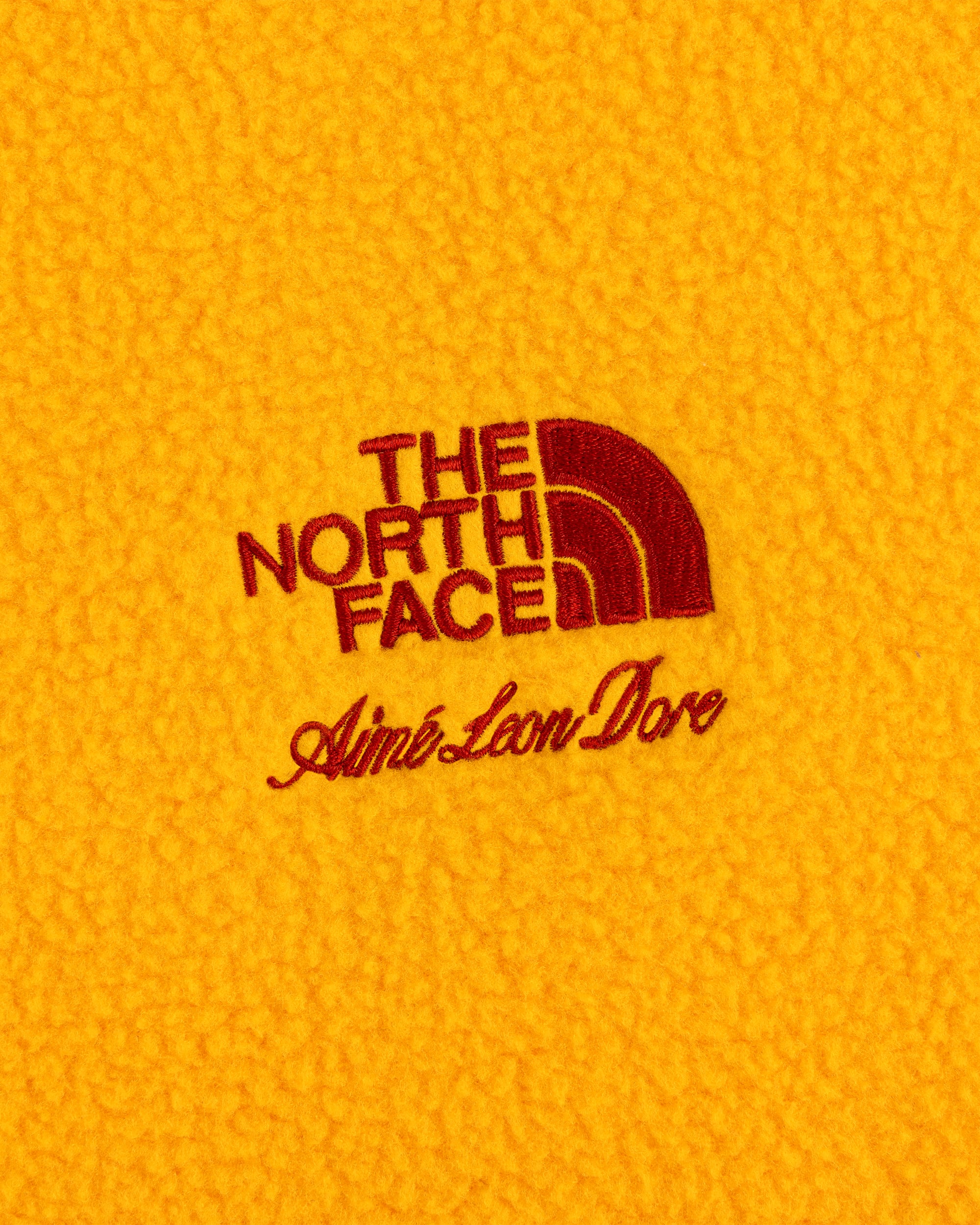 TNF X Aim Leon Dore Fleece Rugby TNF ALT1