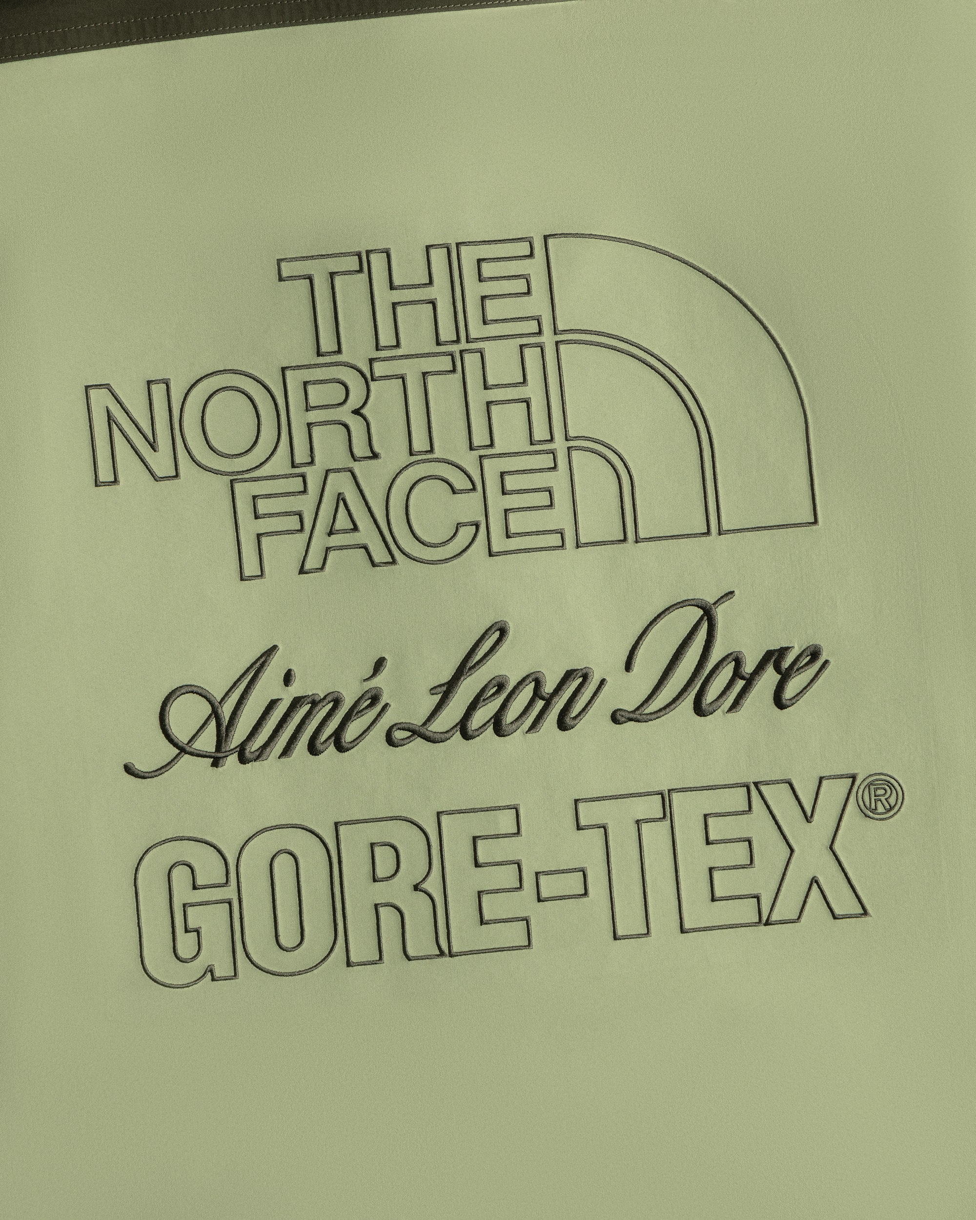 TNF X Aim Leon Dore GORETEX Trench TNF ALT1