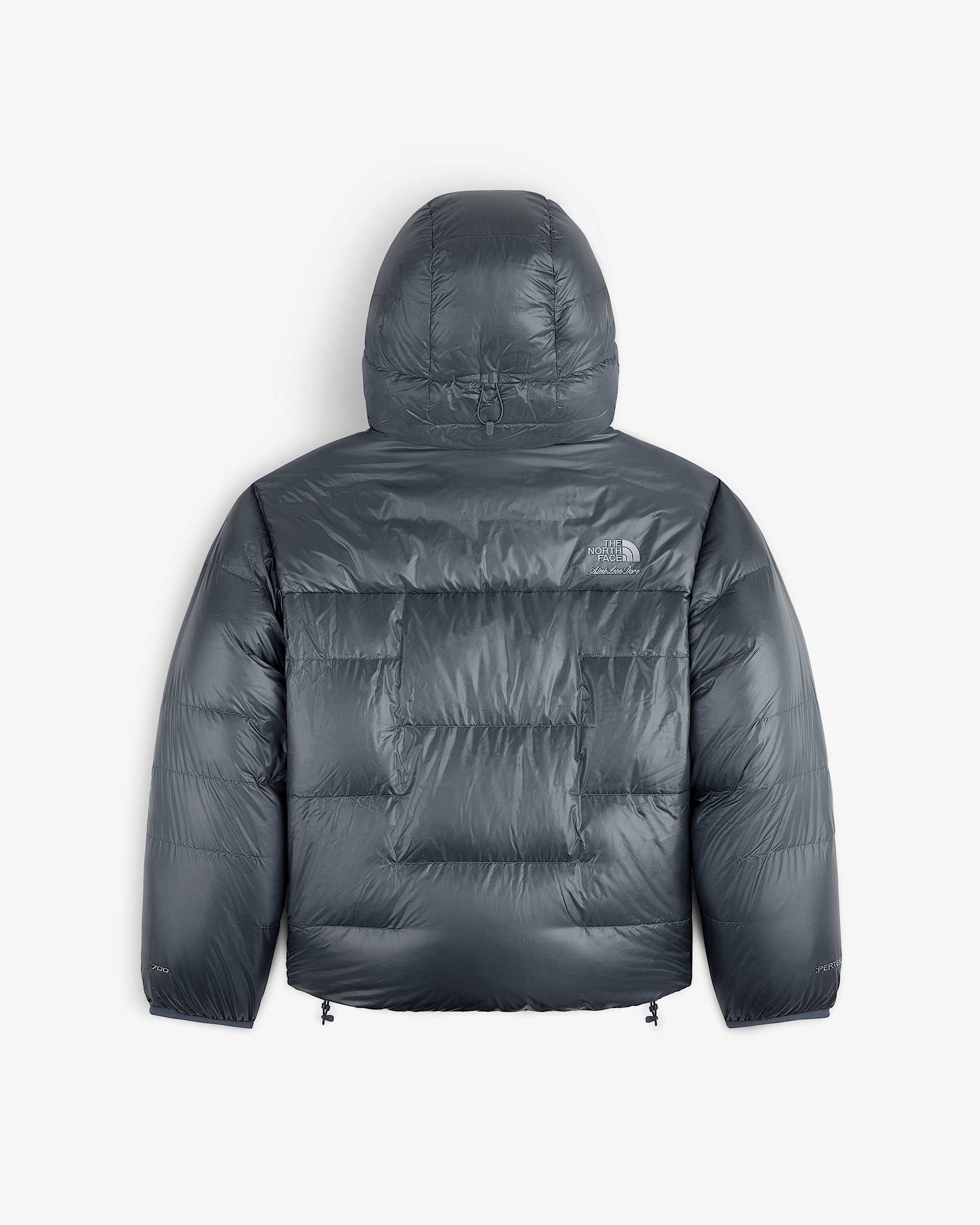 TNF X Aim Leon Dore Reversible Pertex Nuptse Jacket TNF BACK
