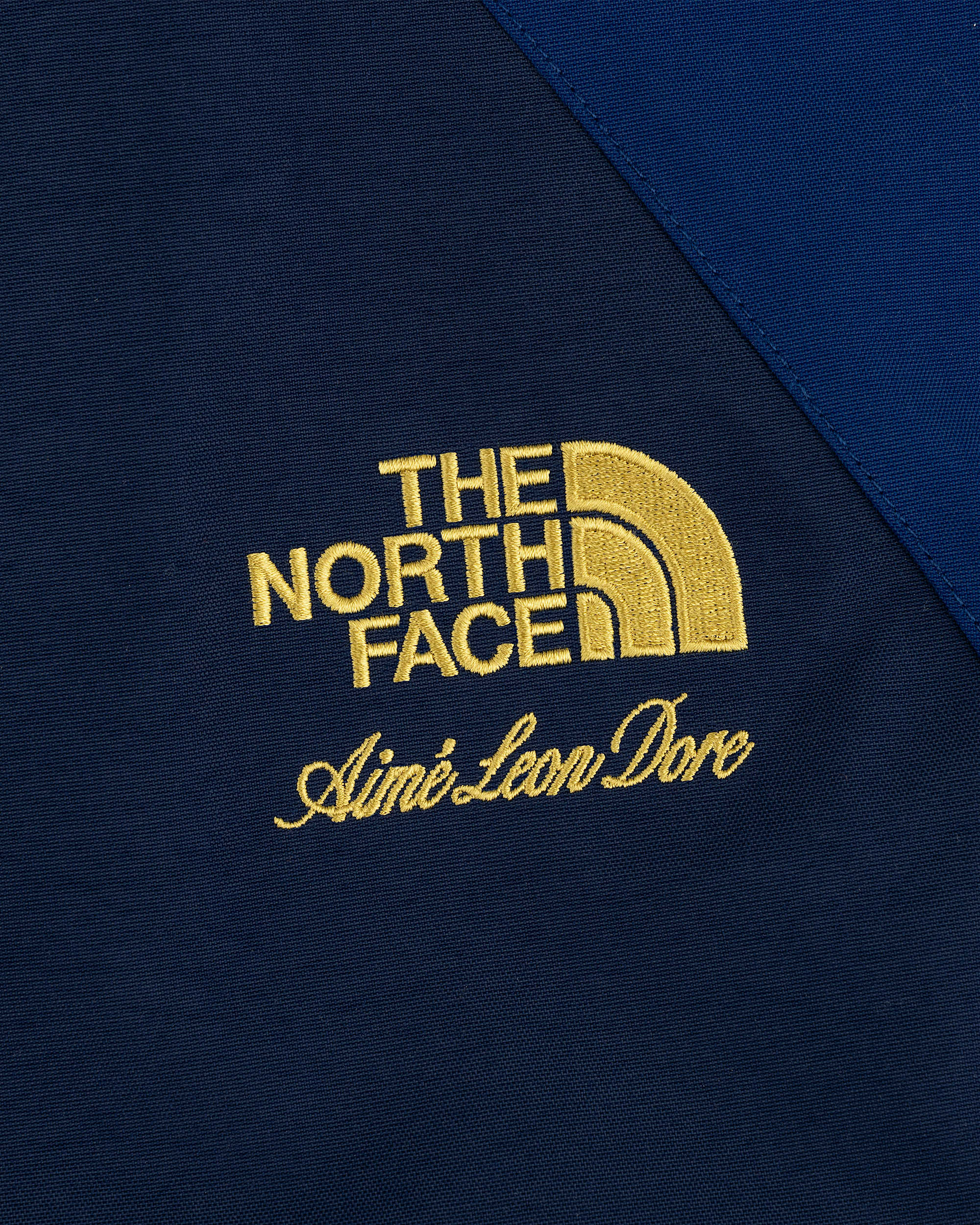 TNF X Aim Leon Dore GORETEX 2000 Mountain Jacket TNF ALT3