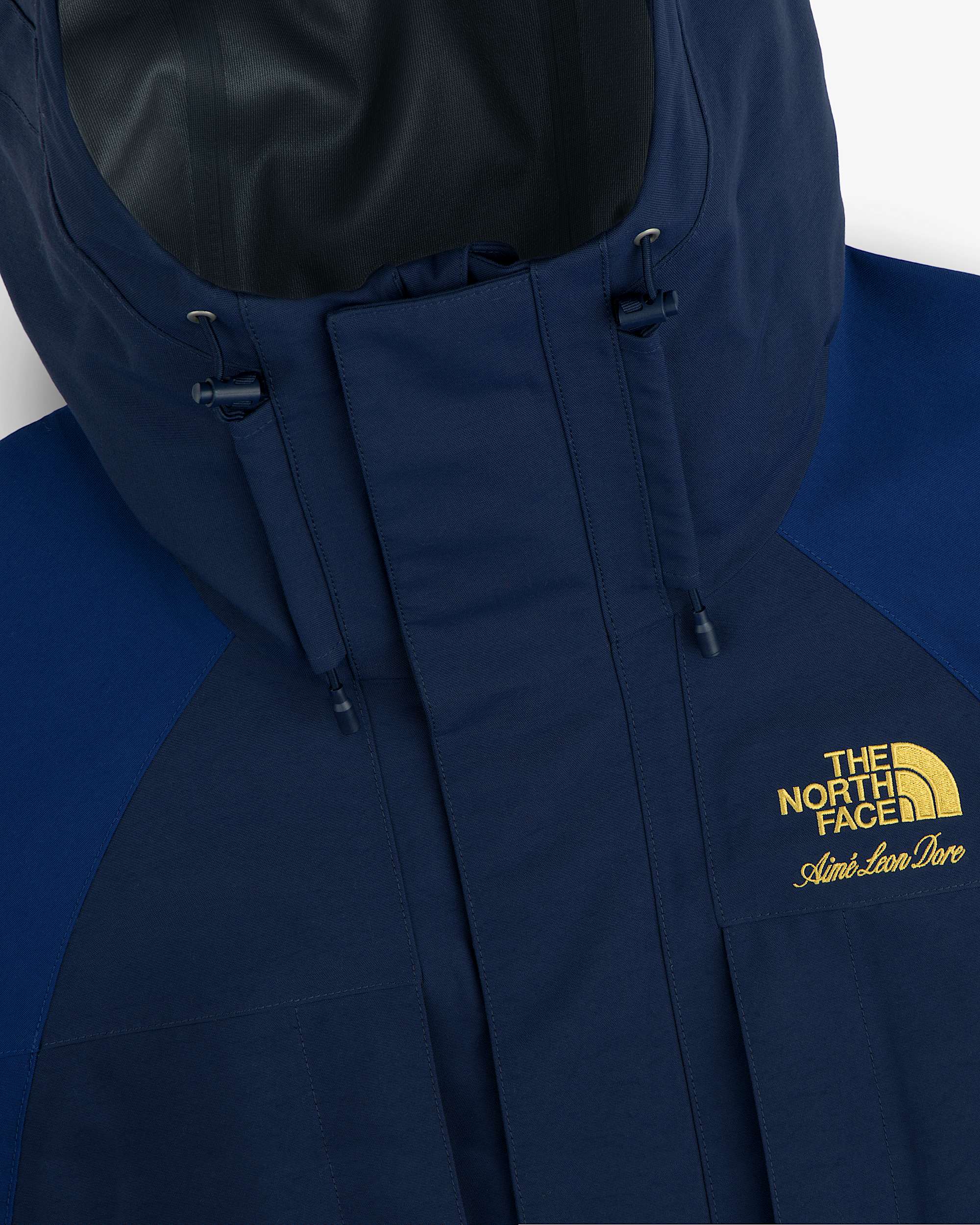 TNF X Aim Leon Dore GORETEX 2000 Mountain Jacket TNF ALT1