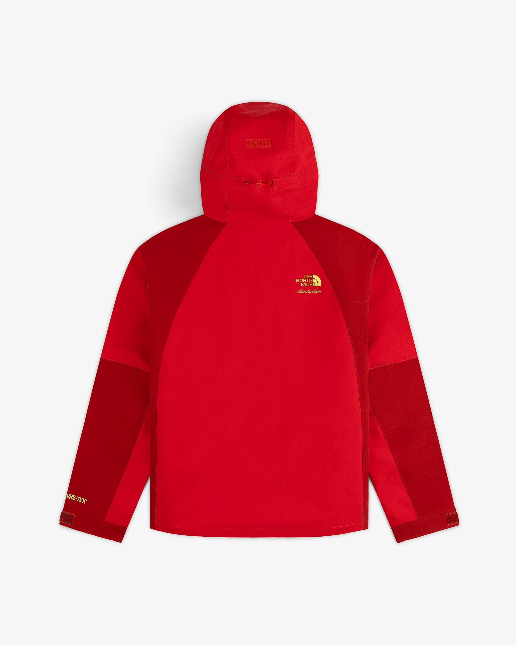 TNF™ X Aimé Leon Dore GORE-TEX® 2000 Mountain Jacket | The North Face