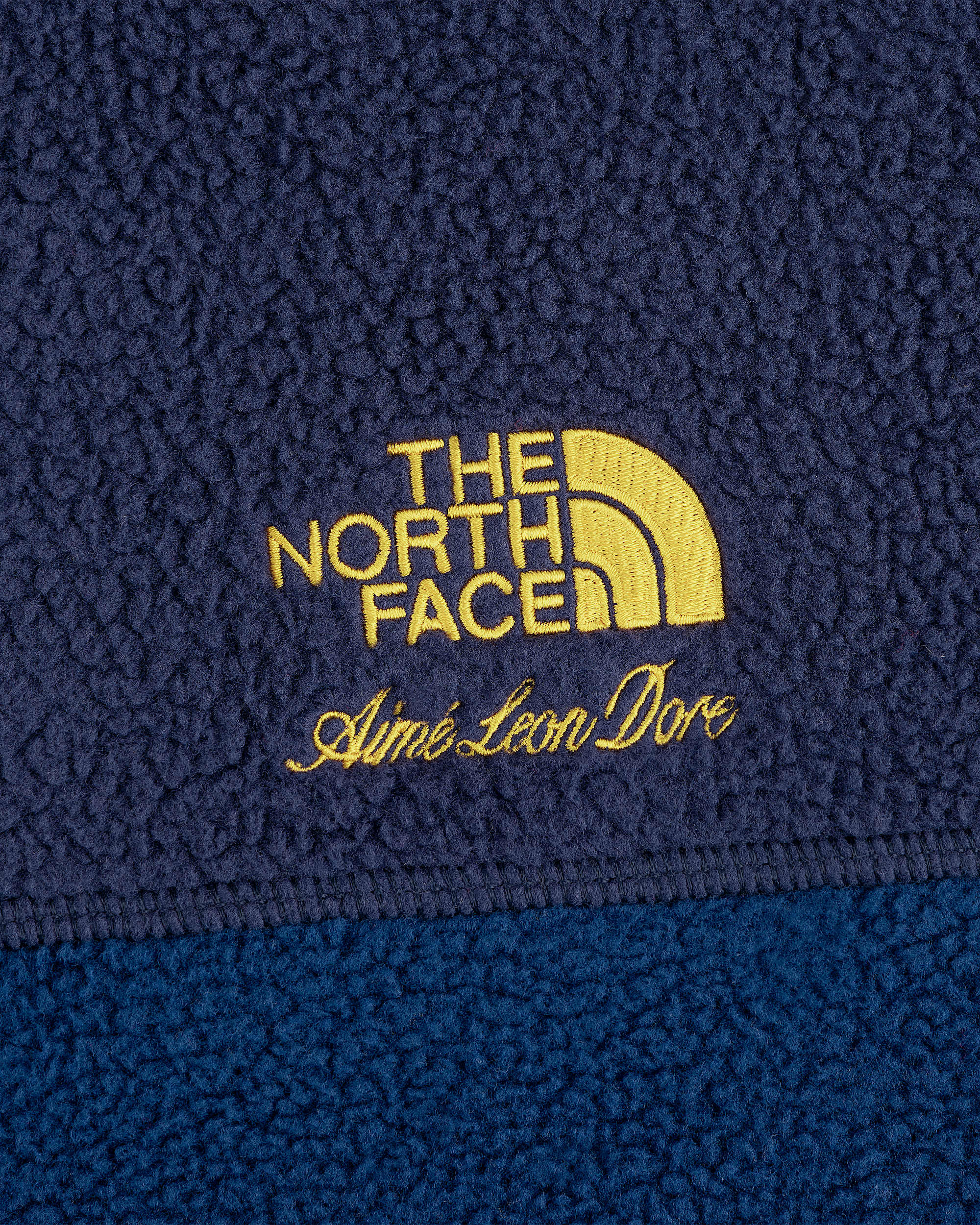 TNF X Aim Leon Dore 95 Denali HalfZip Fleece Pullover TNF ALT1
