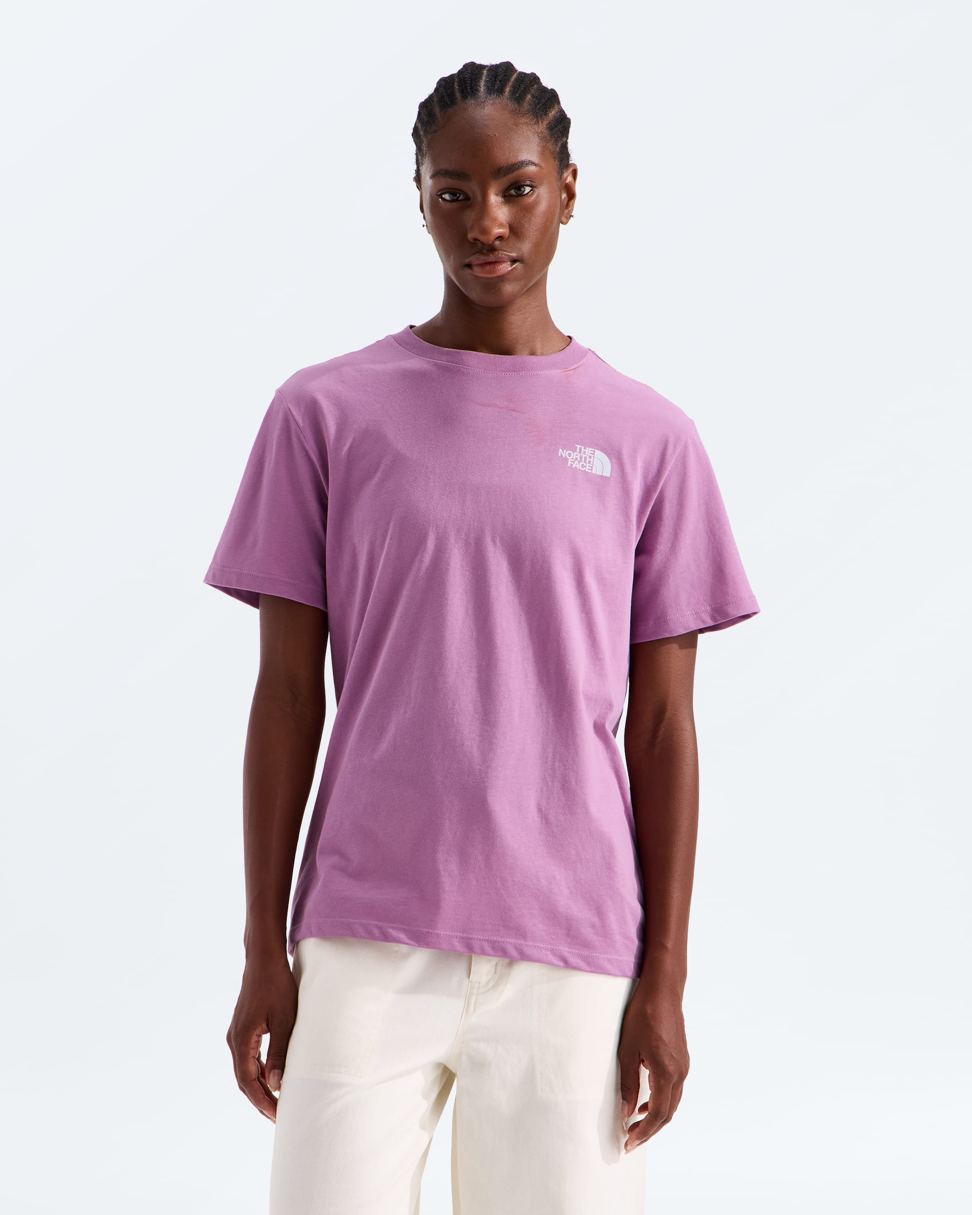 Womens Glacier Drift Relaxed ShortSleeve Tee TNF BACK