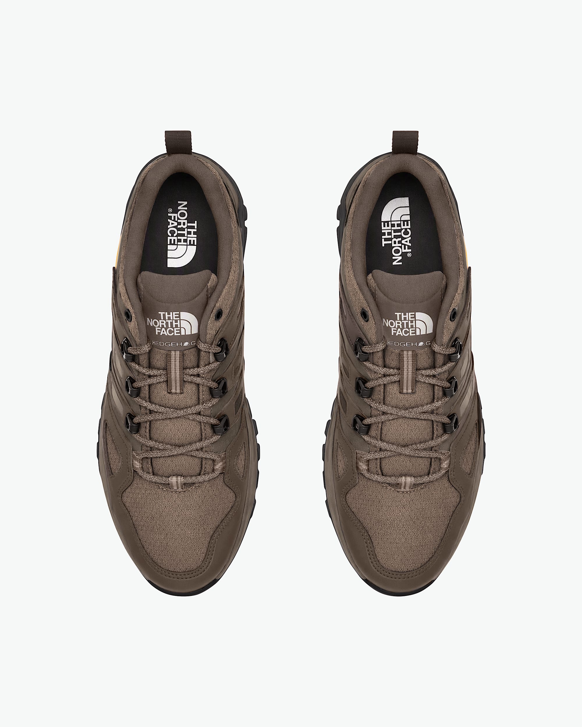 Men's Hedgehog GORE-TEX | The North Face