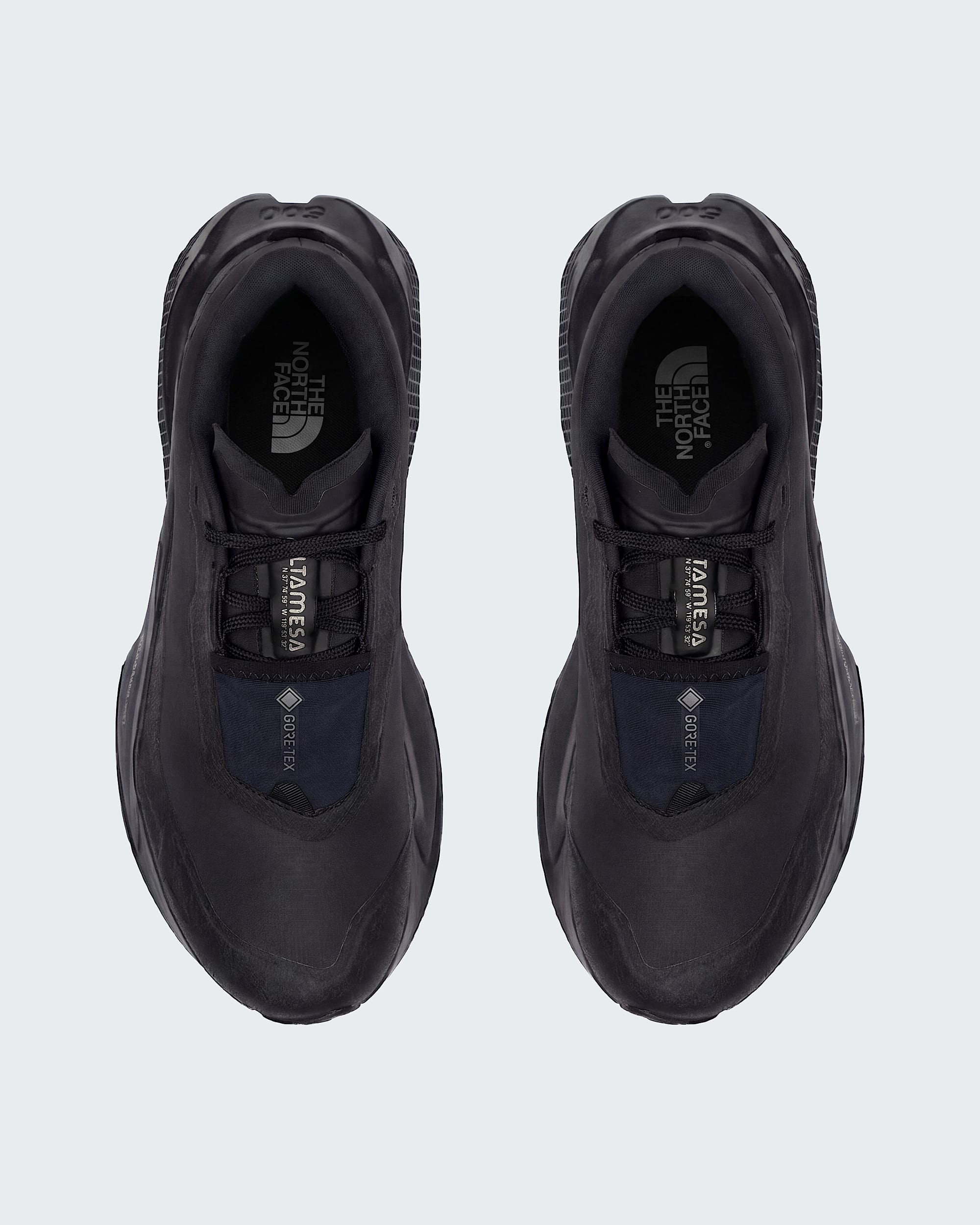 Men's Altamesa 500 V2 GORE-TEX | The North Face