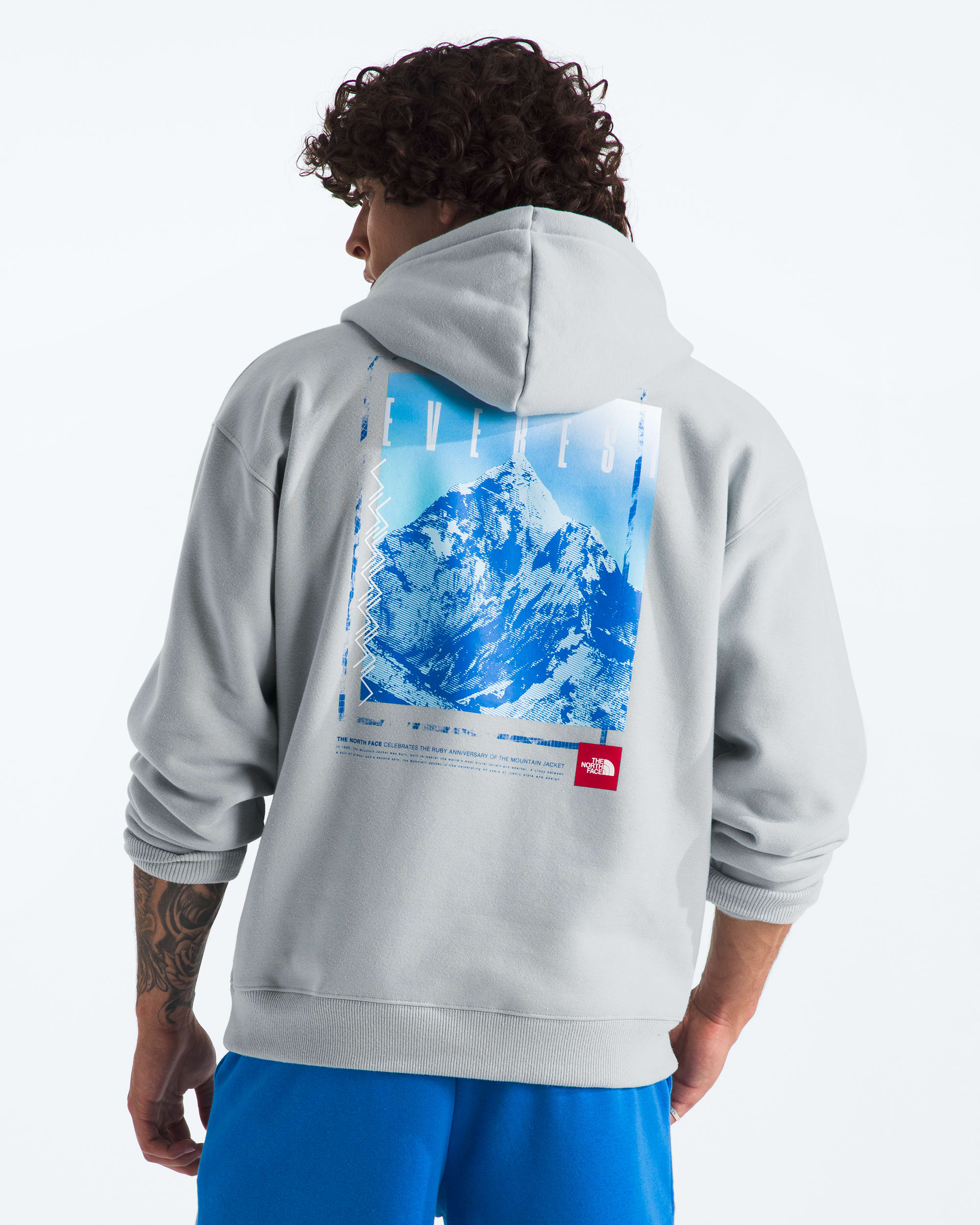 Men's TNF Red Box Everest Heavyweight Hoodie | The North Face