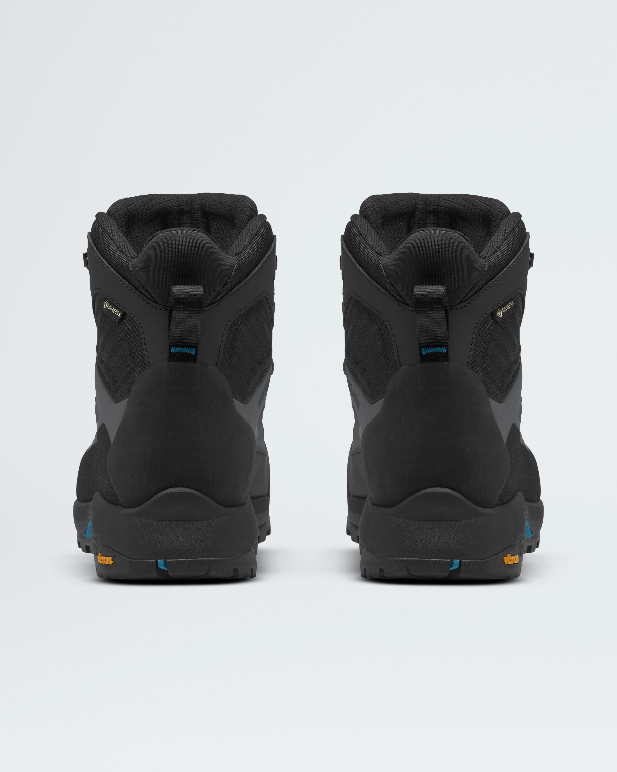 Mens Verto Alpine Mid GORETEX Boots TNF BACK