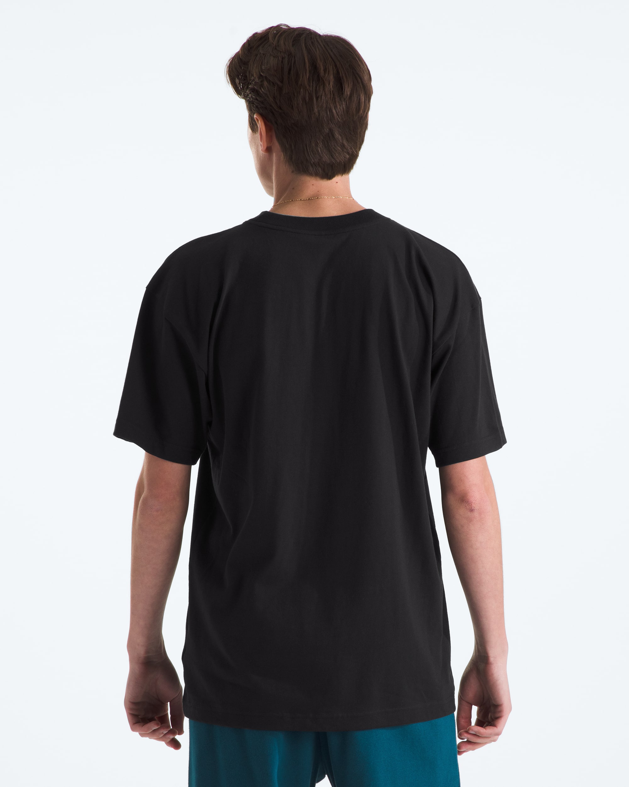 Mens ShortSleeve Heavyweight Relaxed Tee TNF BACK