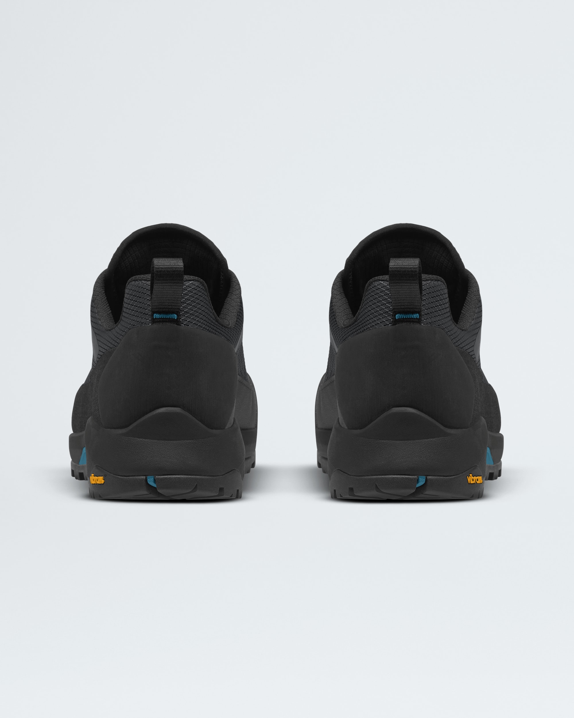 Chaussures Verto Alpine GORETEXMD pour hommes TNF BACK