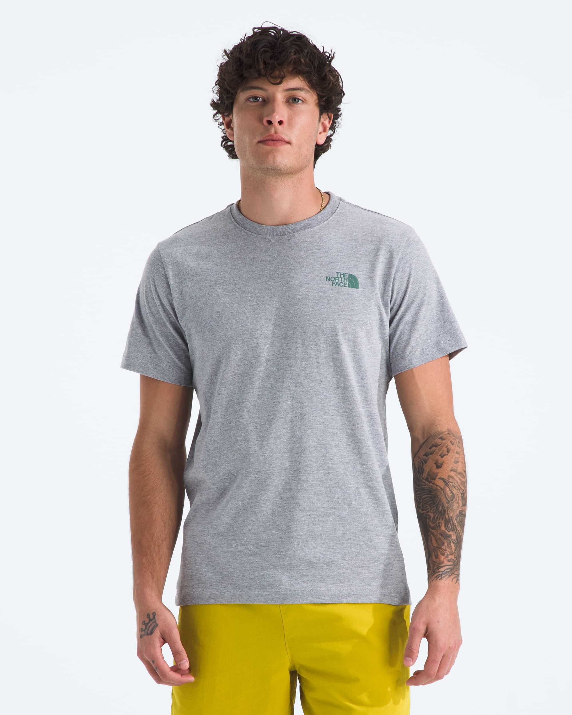 Mens Short Sleeve Core Celebration Box NSE Tee TNF BACK