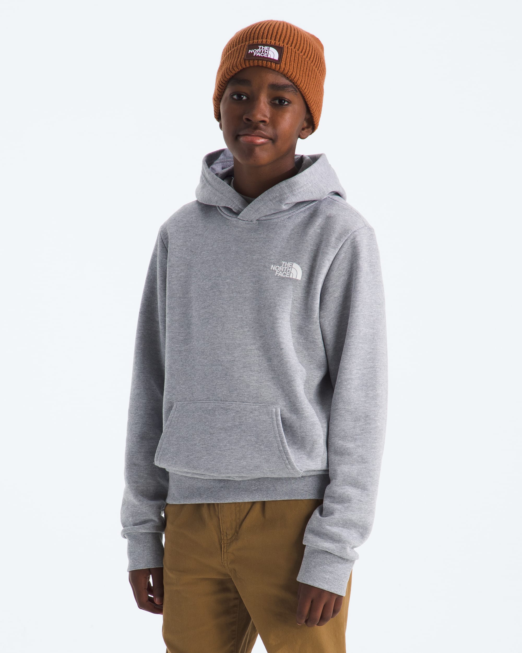 Boys  Girls Evolution Print Box NSE Pullover Hoodie TNF BACK