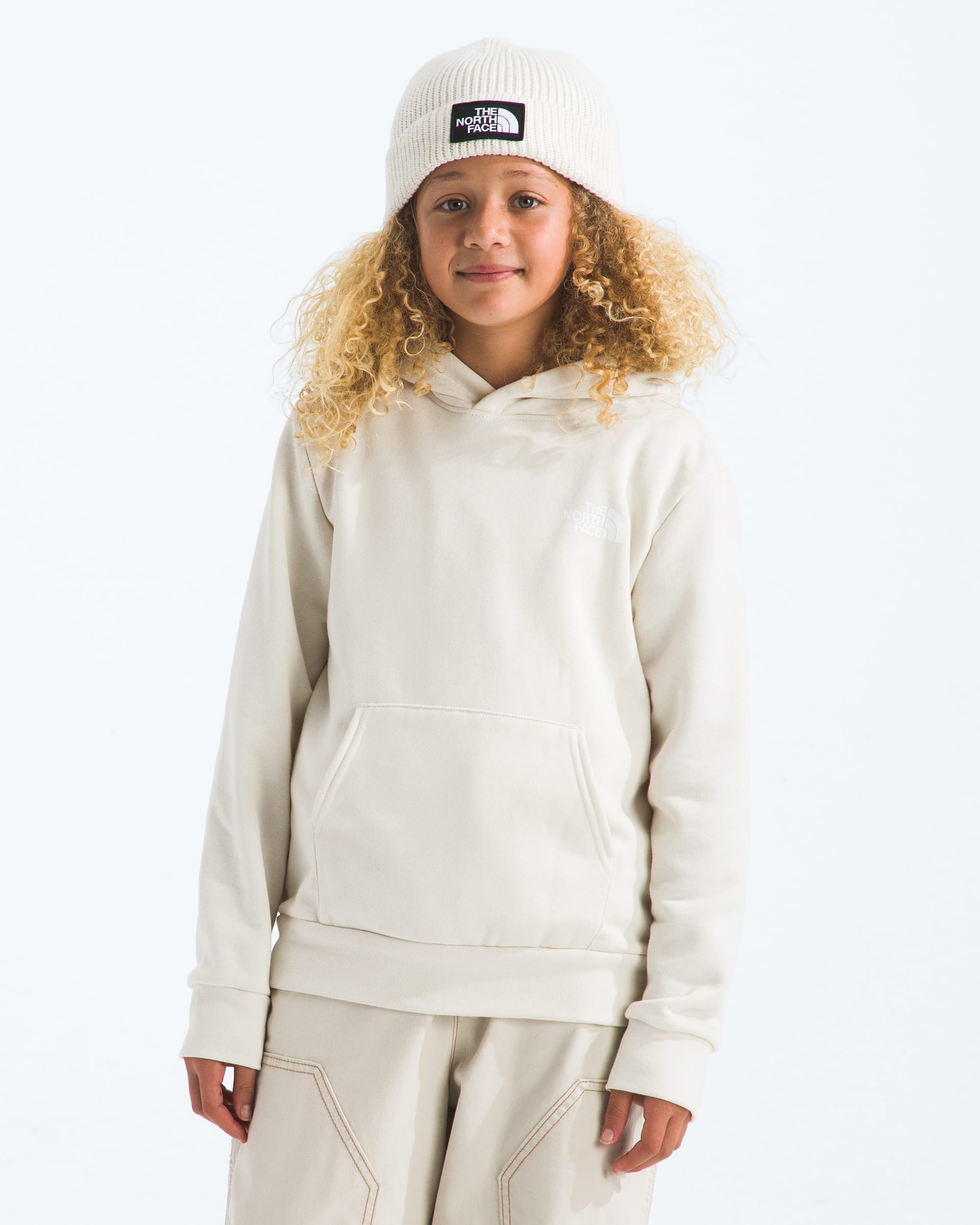 Boys  Girls Evolution Print Box NSE Pullover Hoodie TNF BACK