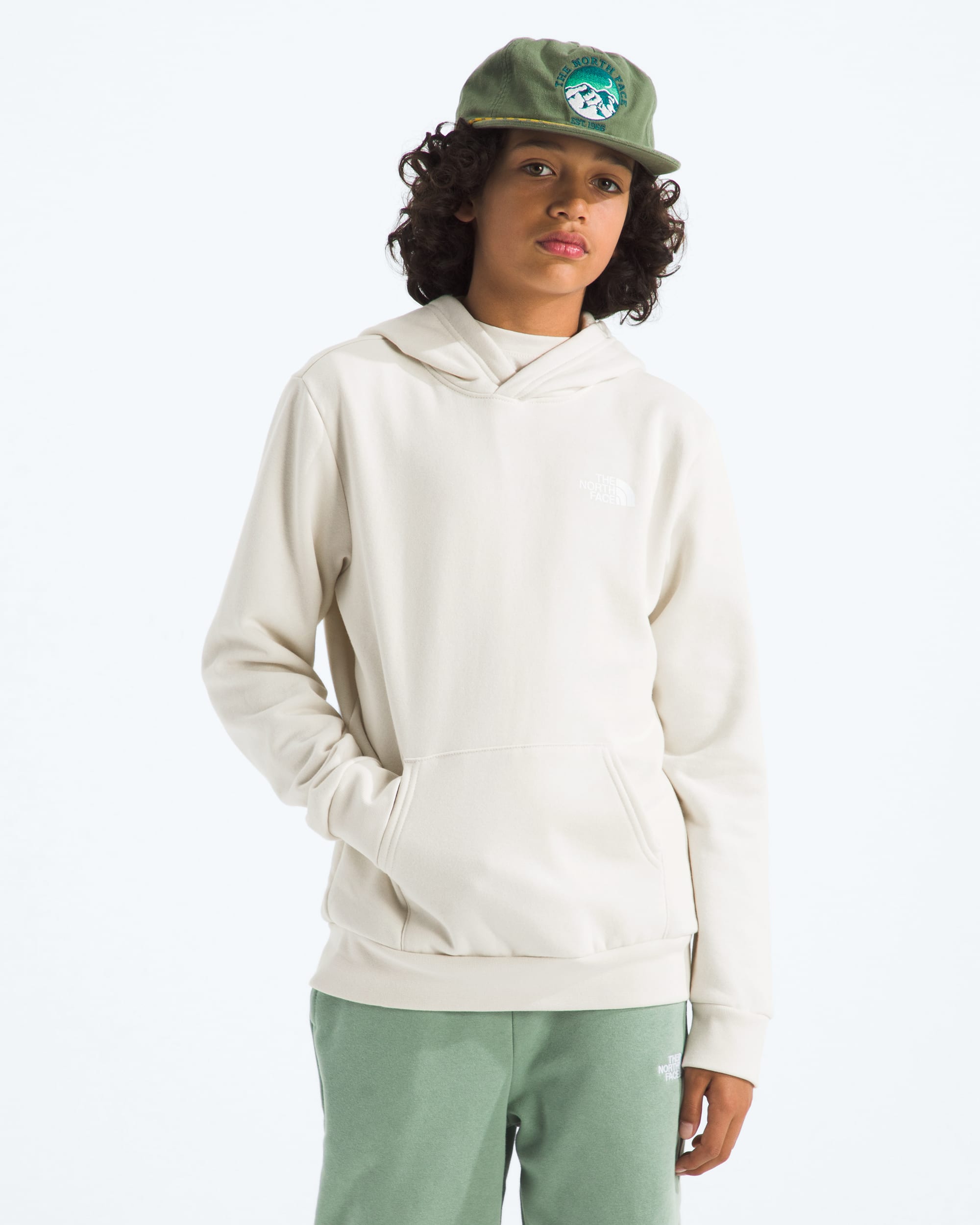 Boys  Girls Evolution Print Box NSE Pullover Hoodie TNF HERO3
