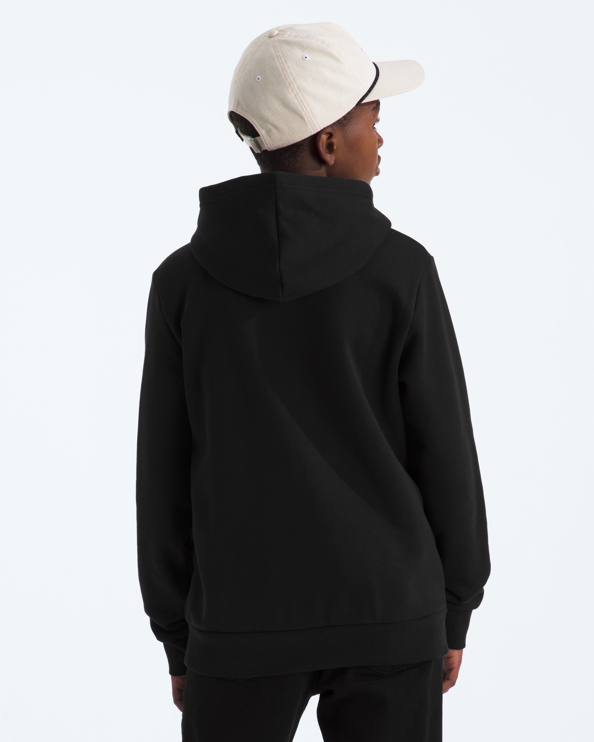 Boys  Girls Evolution Simple Dome Pullover Hoodie TNF BACK