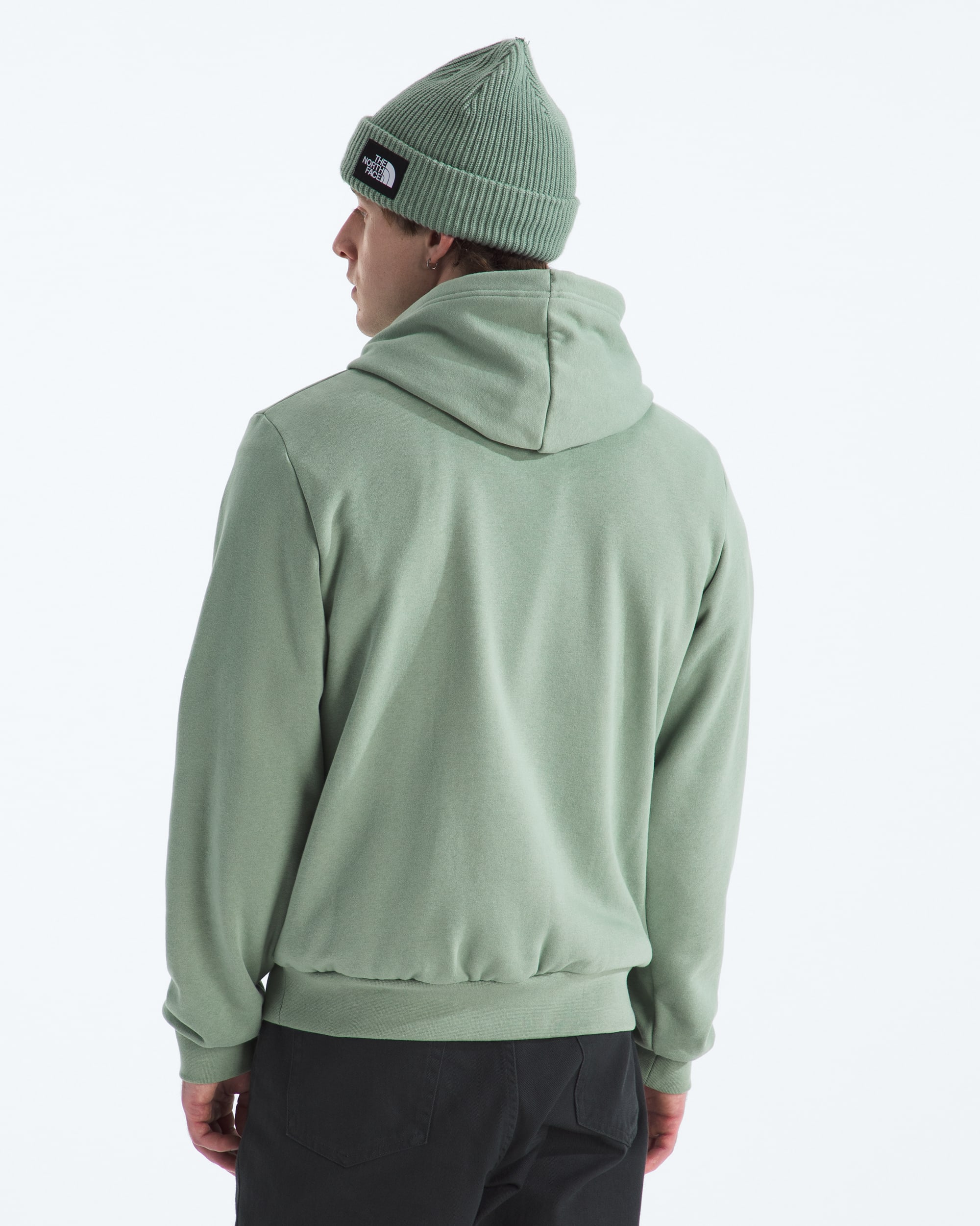 Mens Evolution Simple Dome Regular Hoodie TNF BACK