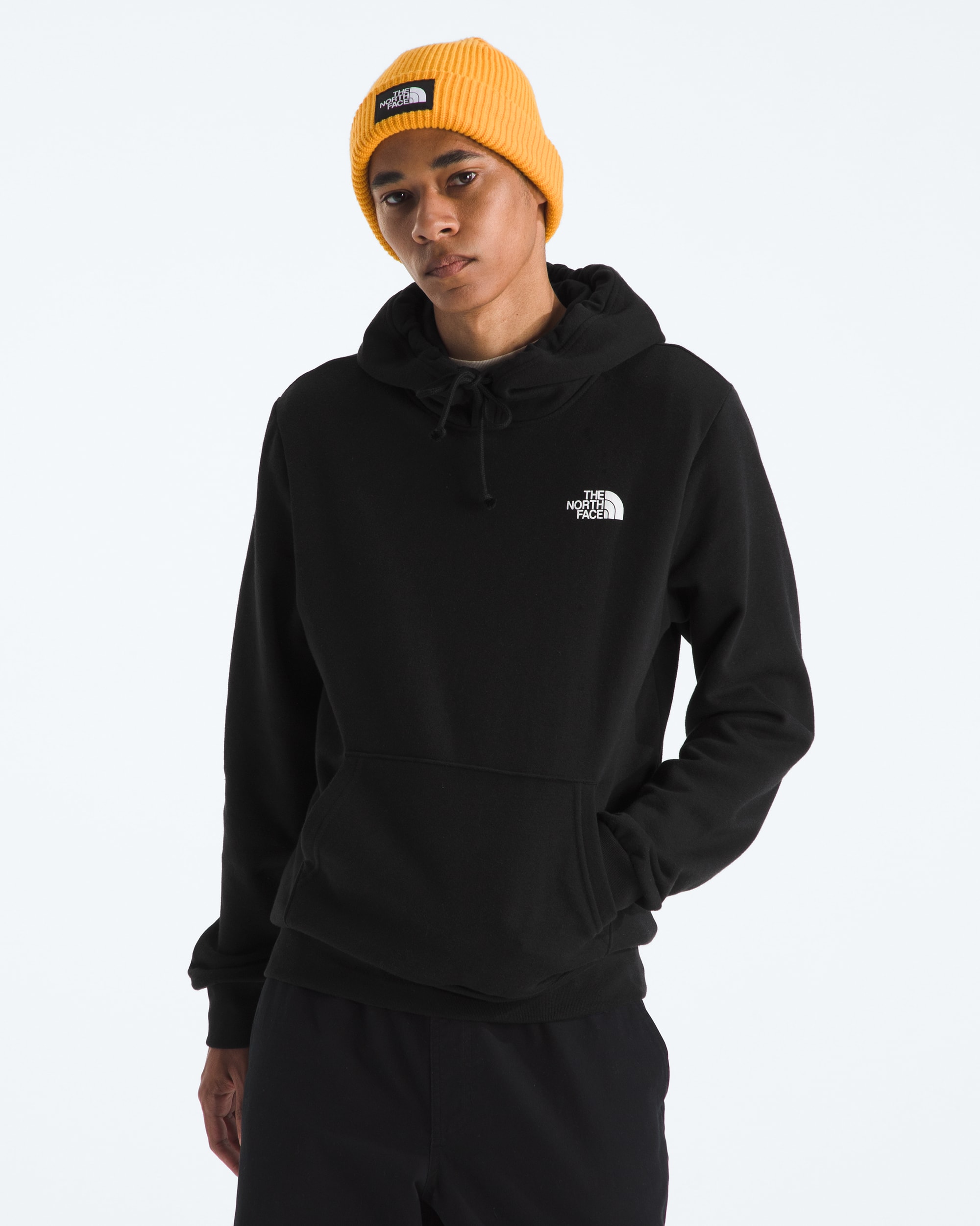 Chandail  capuchon Evolution Box NSE pour hommes TNF BACK