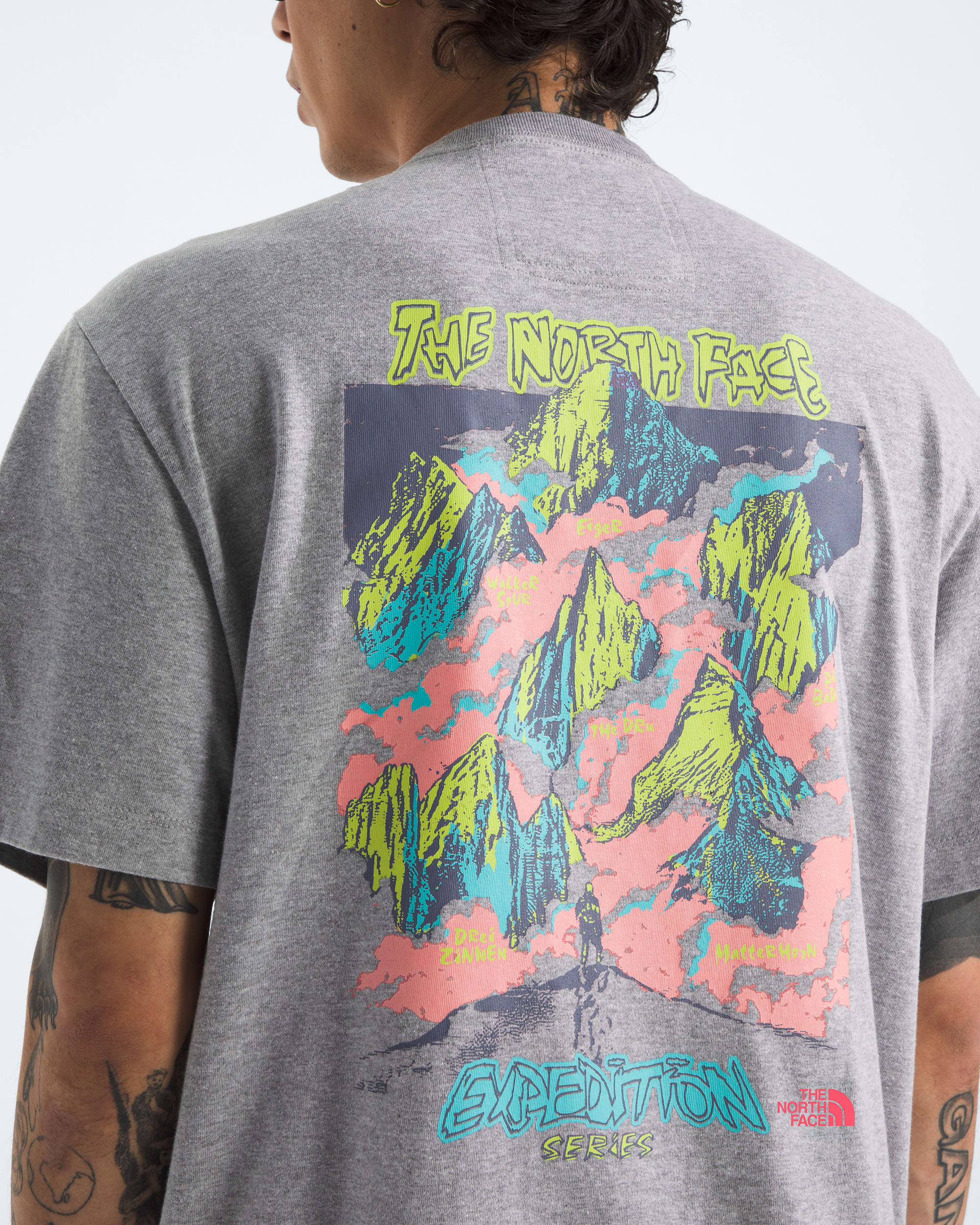 Mens TNF Essential Expedition Series ShortSleeve TeeGraphic TNF HERO2