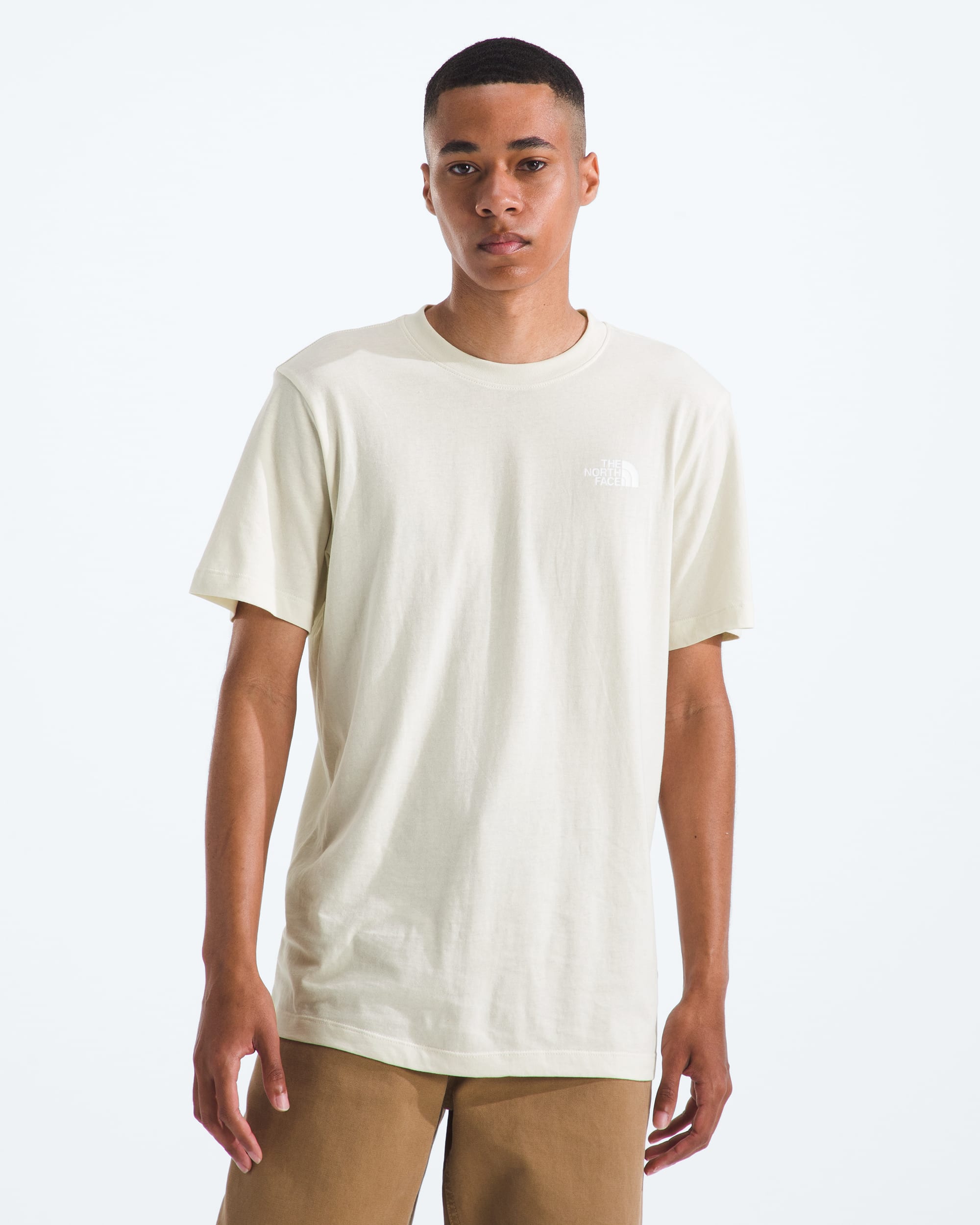 Mens Evolution Sun Halos Box NSE ShortSleeve TeeGraphic TNF BACK