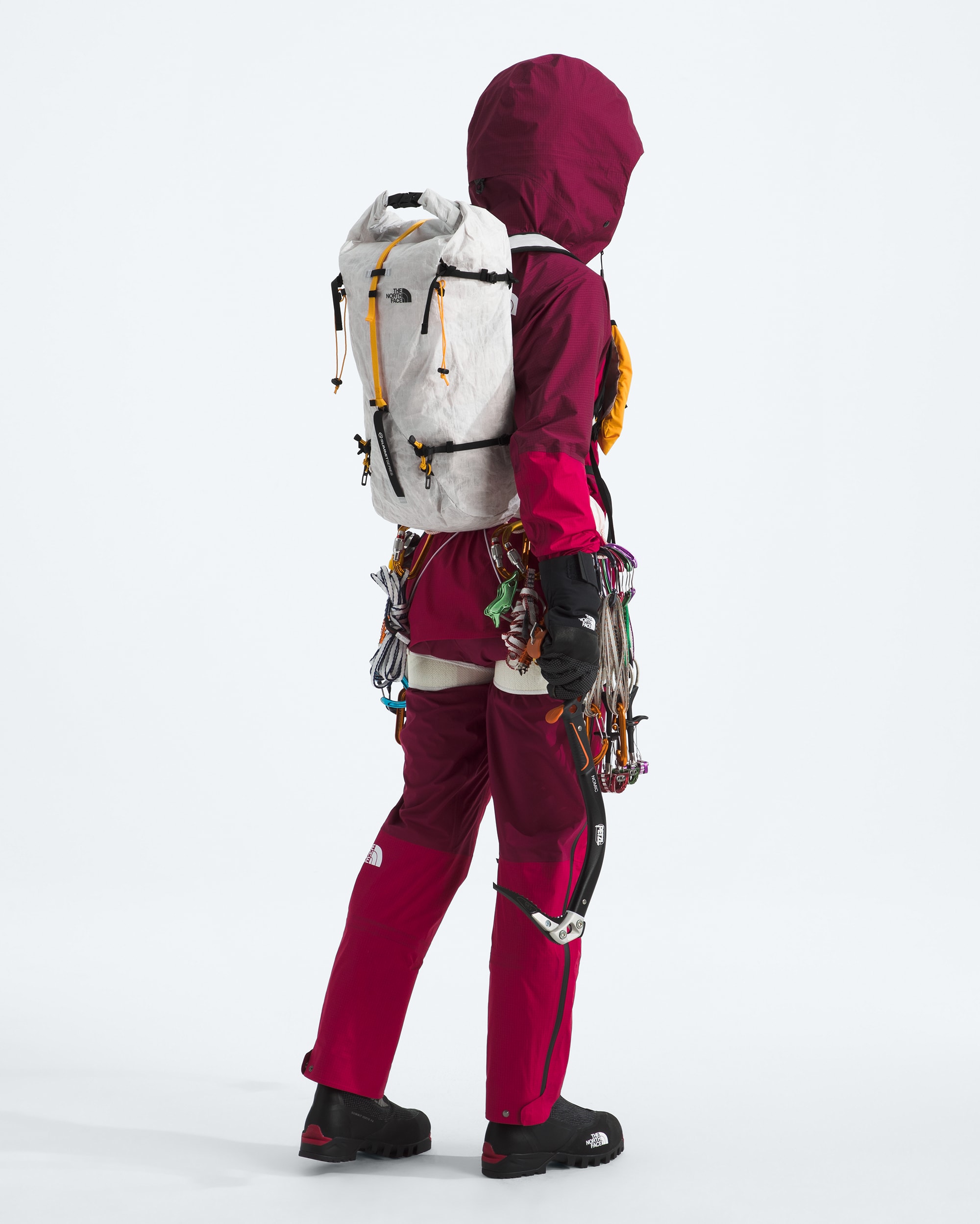 Summit Series Advanced Mountain Kit 25L Pack TNF ALT1