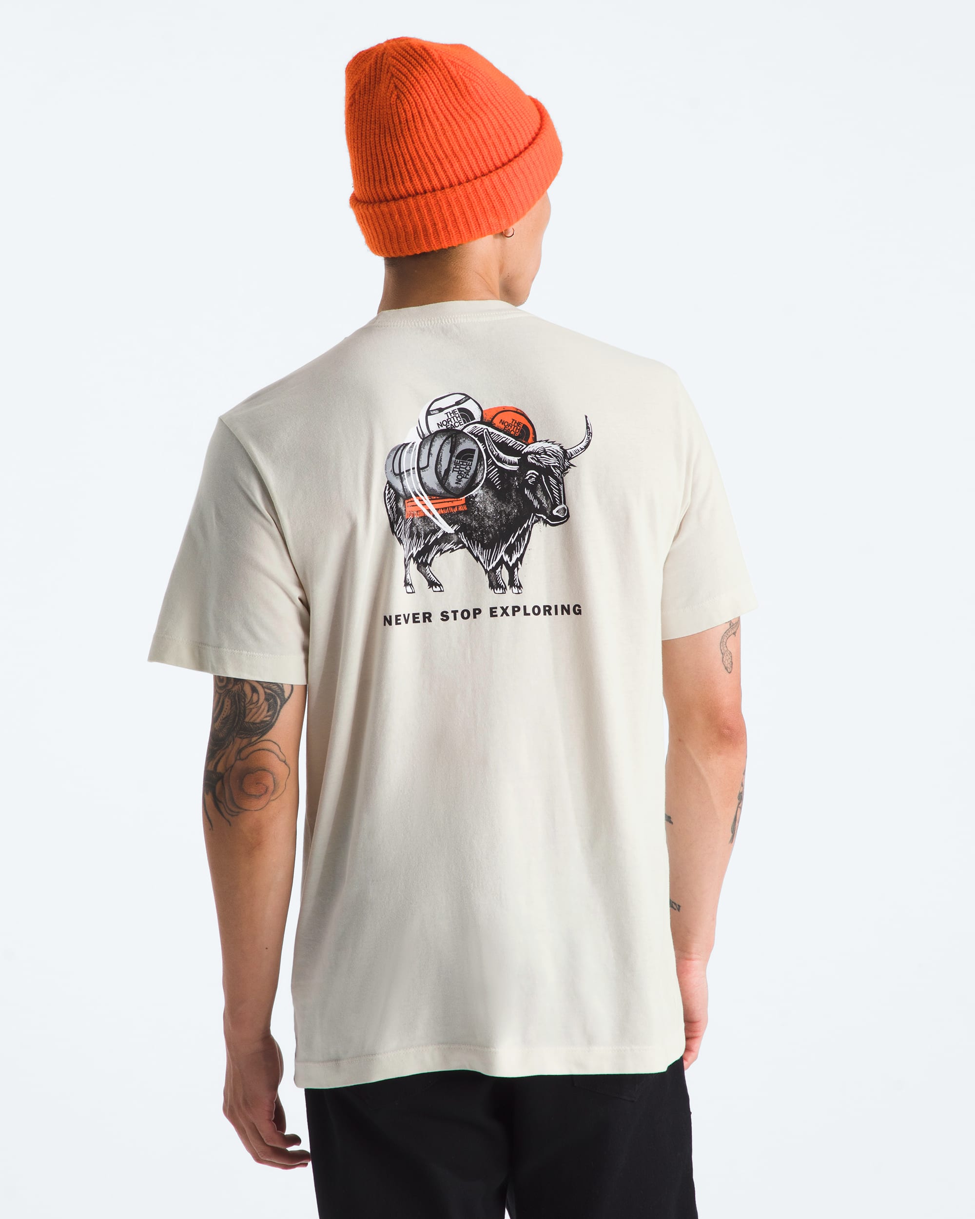 Tshirt  manches courtes Evolution Vault Tri Pack pour hommes imprim TNF HERO