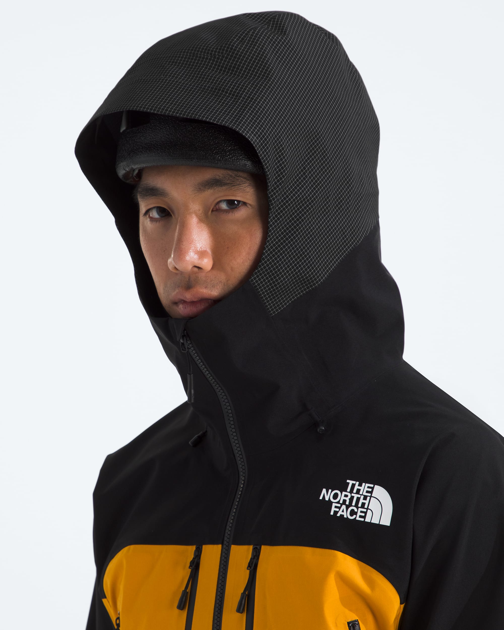 Manteau Summit Series Mountain GORETEX Pro pour hommes TNF MODELHOOD2