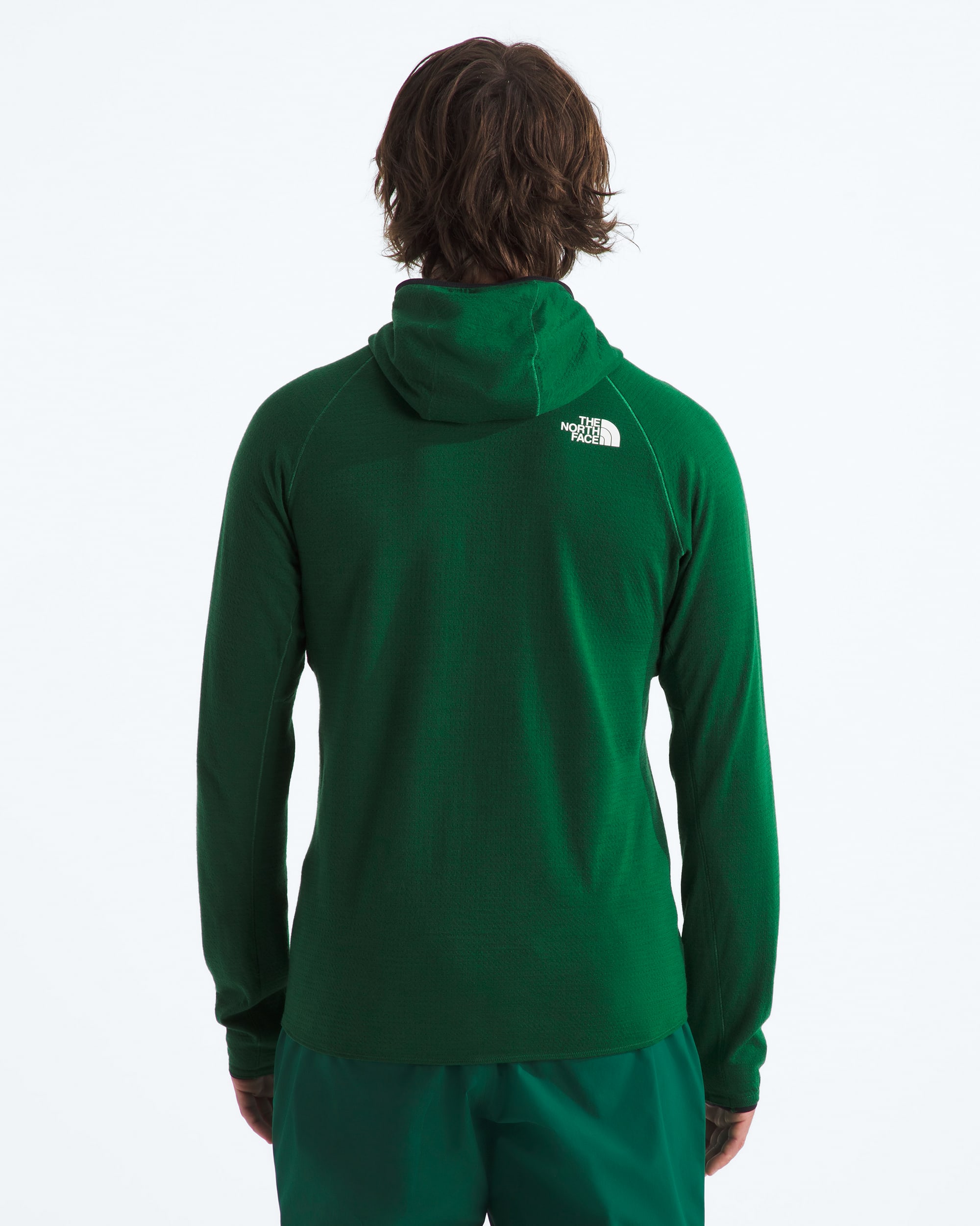 Mens Summit Series DOTKNIT AMK Hoodie TNF BACK