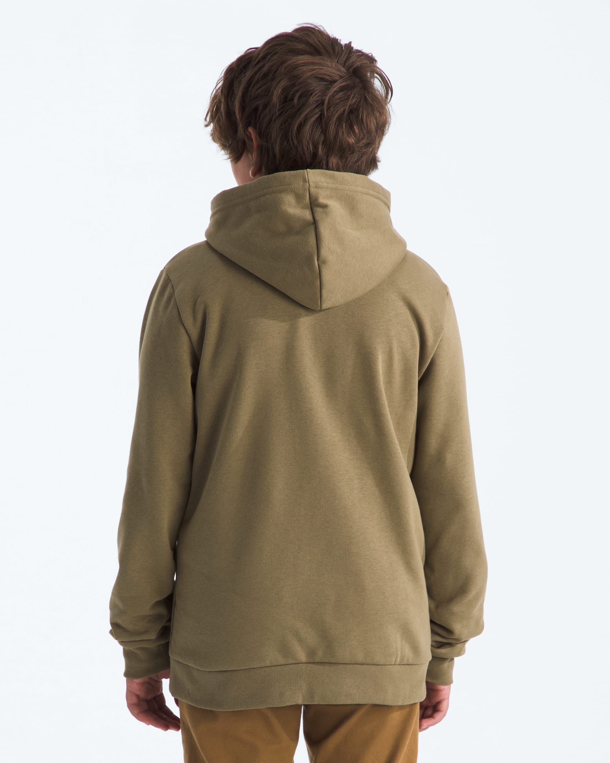 Boys  Girls Evolution Simple Dome Pullover Hoodie TNF BACK