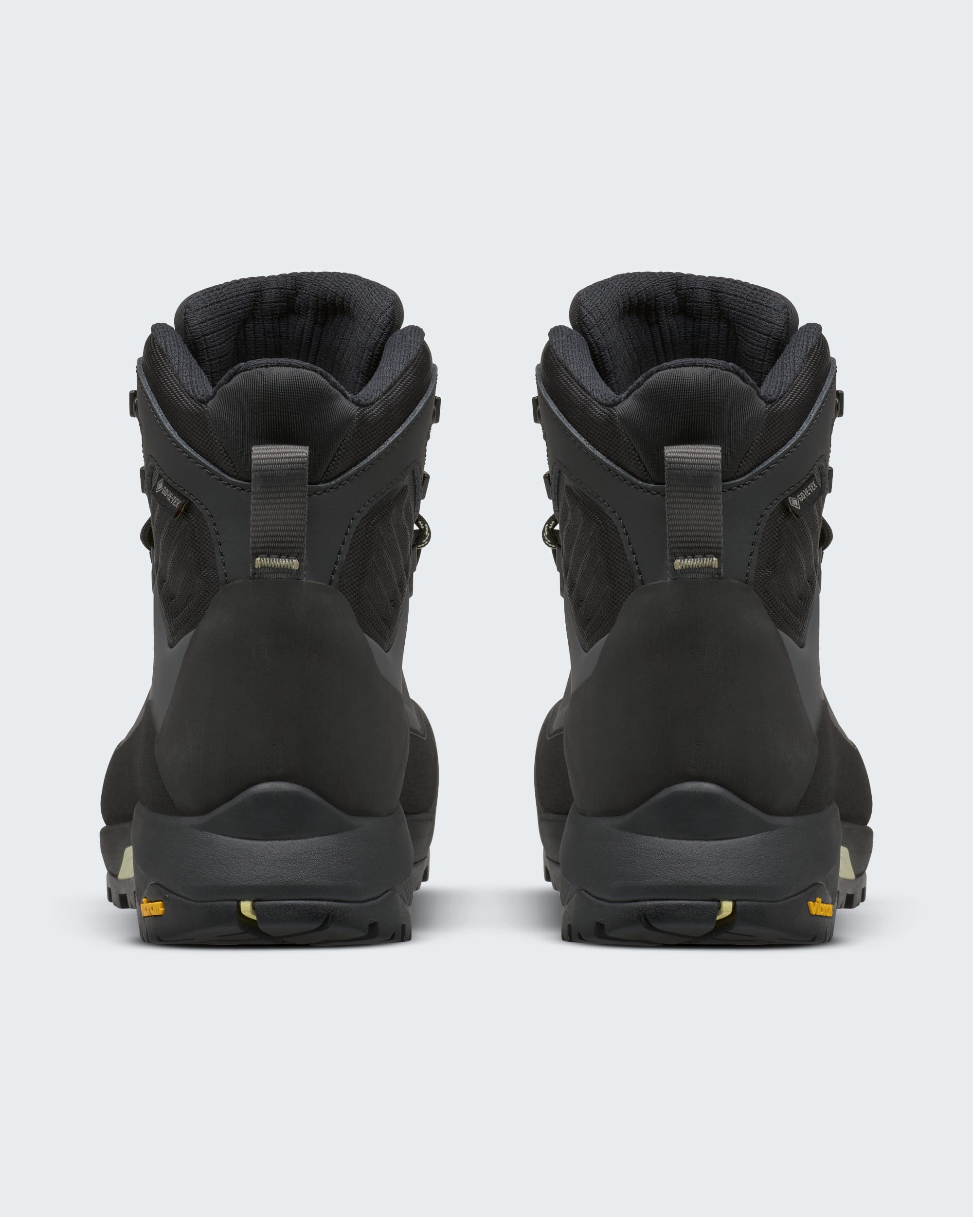Bottes Verto Alpine Mid GORETEX pour femmes TNF BACK