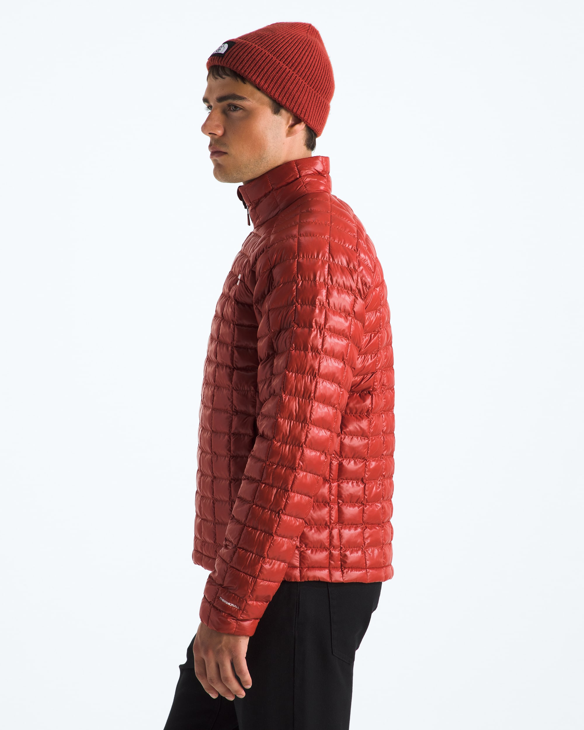 Manteau THERMOBALL pour hommes TNF MODEL34