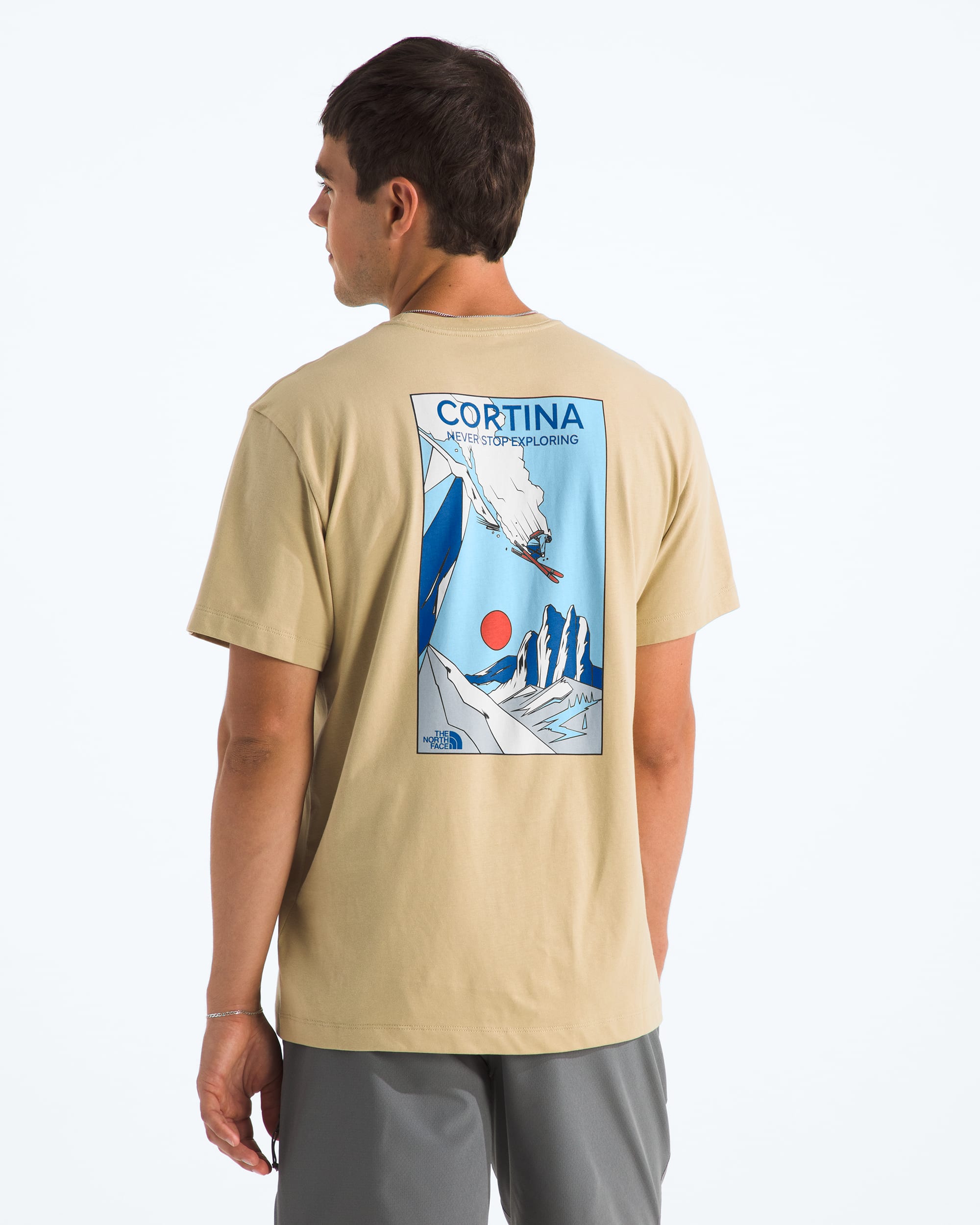 Mens Mountain Celebration Regular ShortSleeve TeeGraphic TNF Main