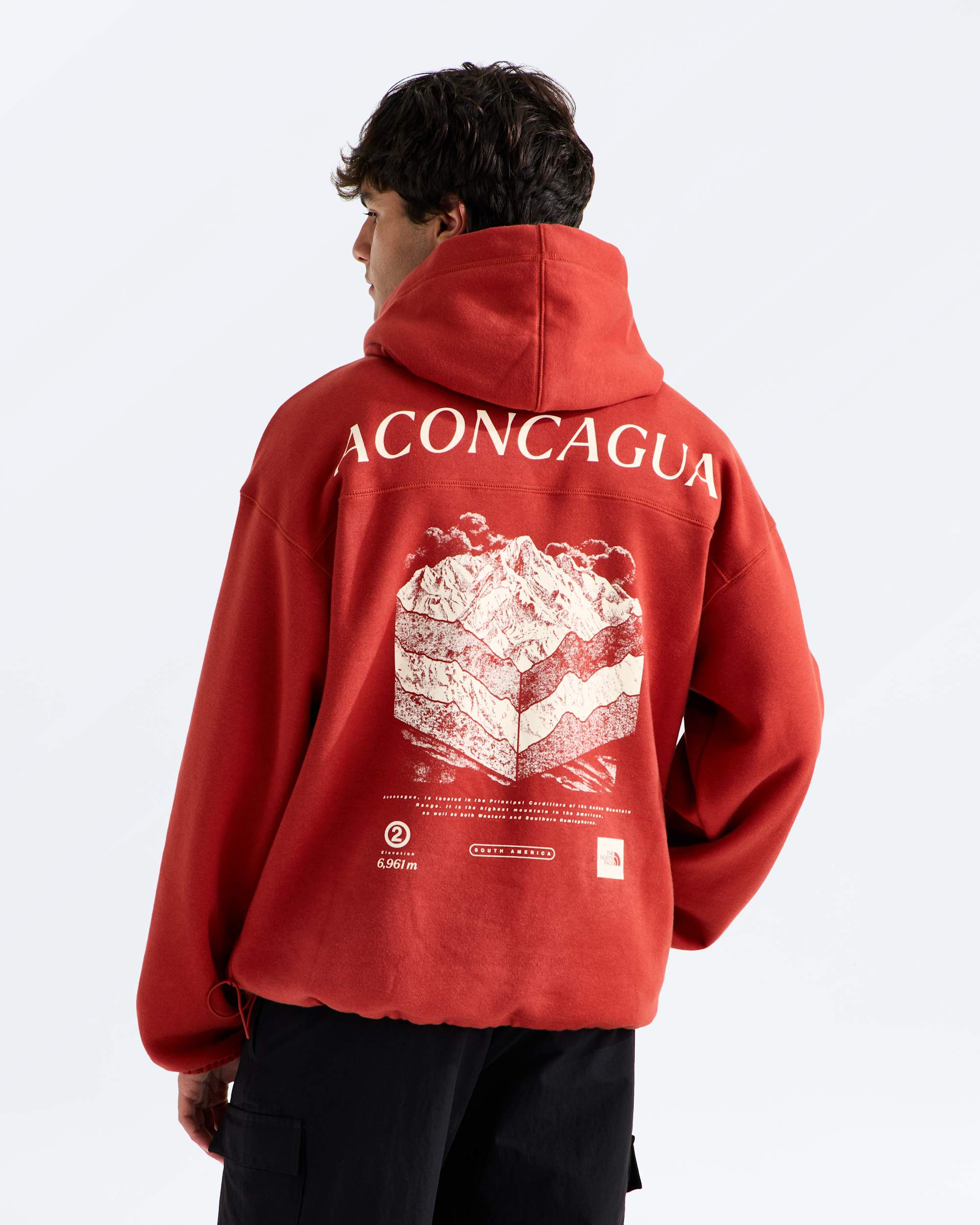 Mens Places We Love HoodieAconcagua TNF BACK