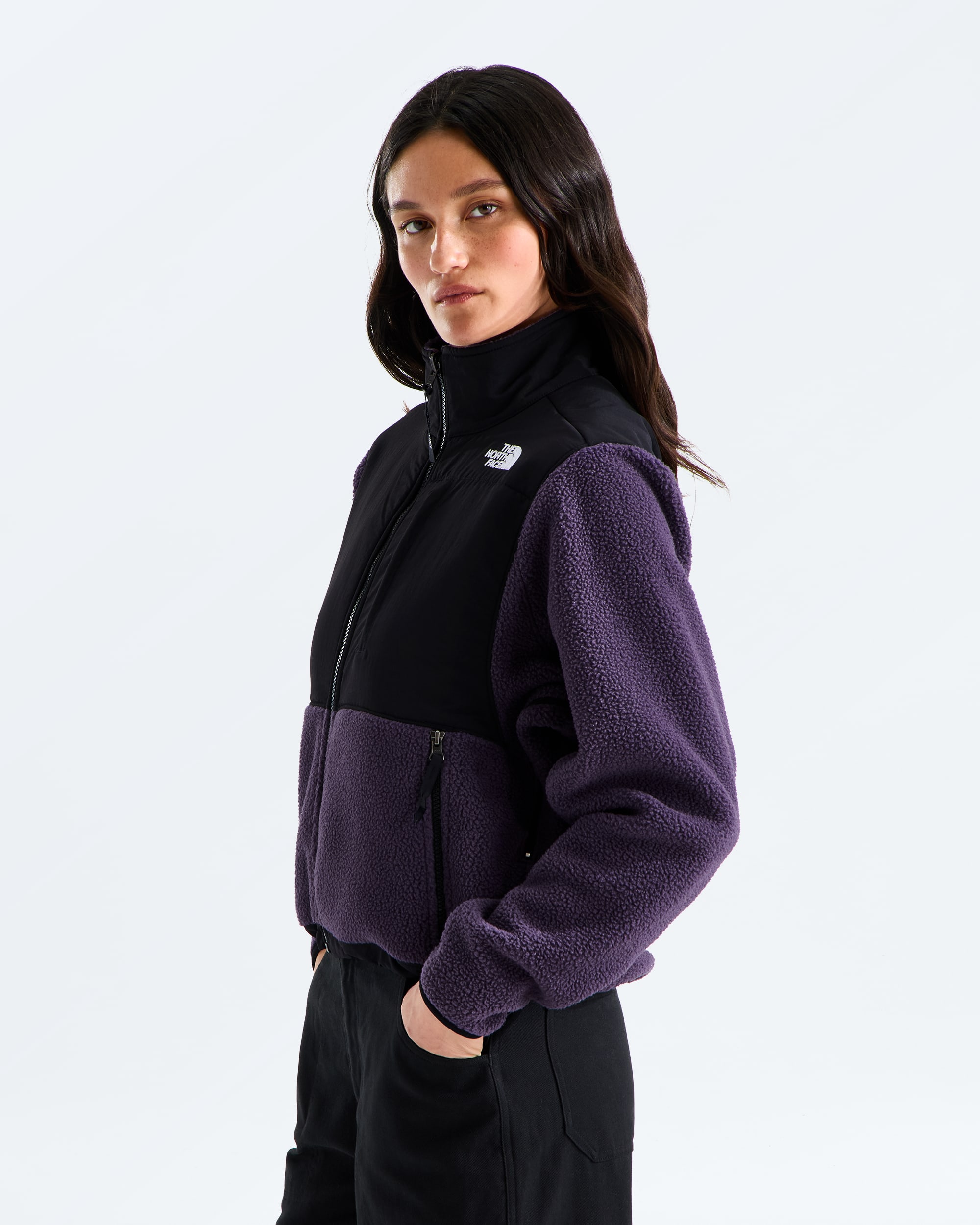 Veste Retro Denali pour femmes TNF MODEL34