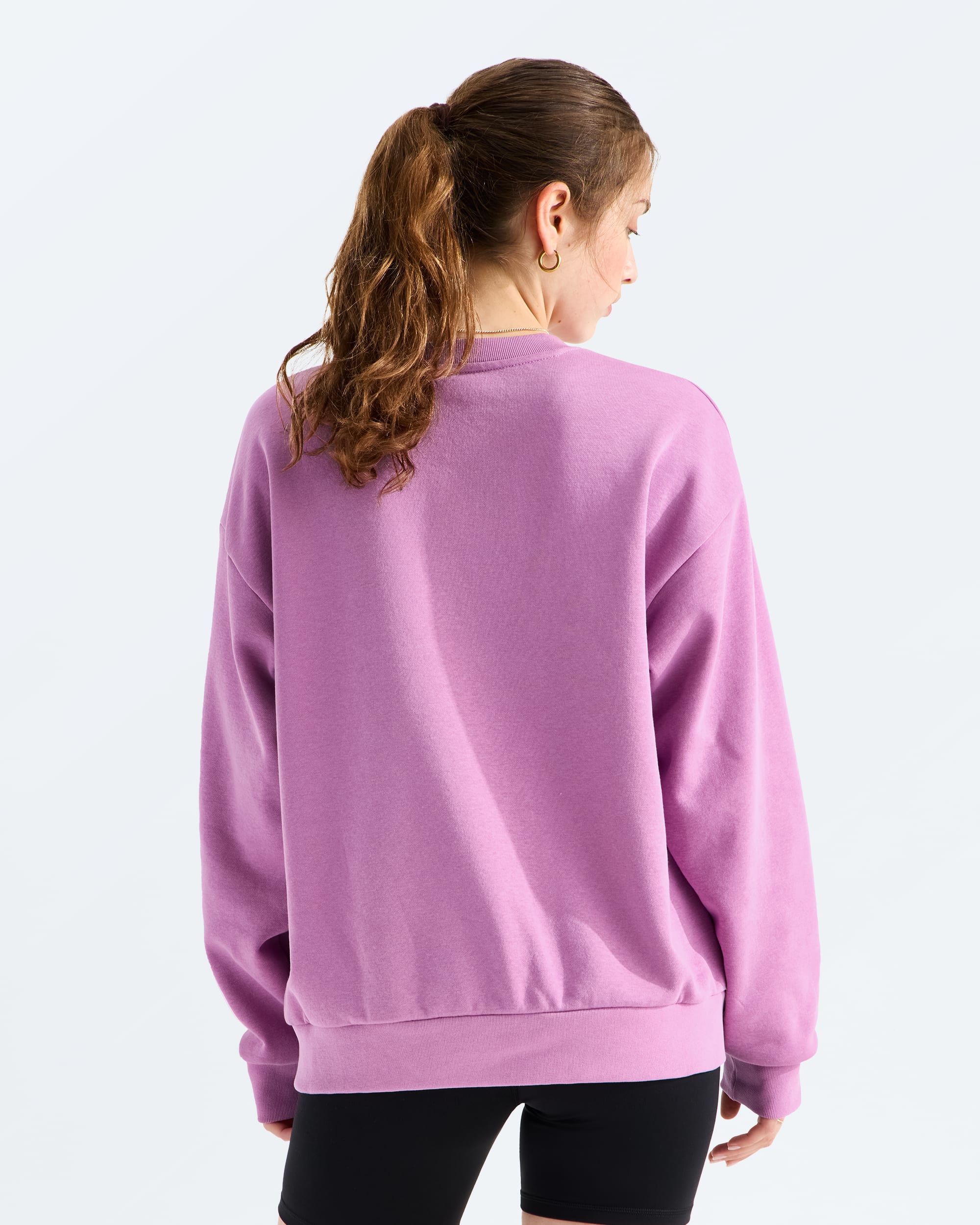 トップス Over Sized Logo Crew Neck Sweatshirt Women's Evolution Simple Dome Oversize Crew | The North Face