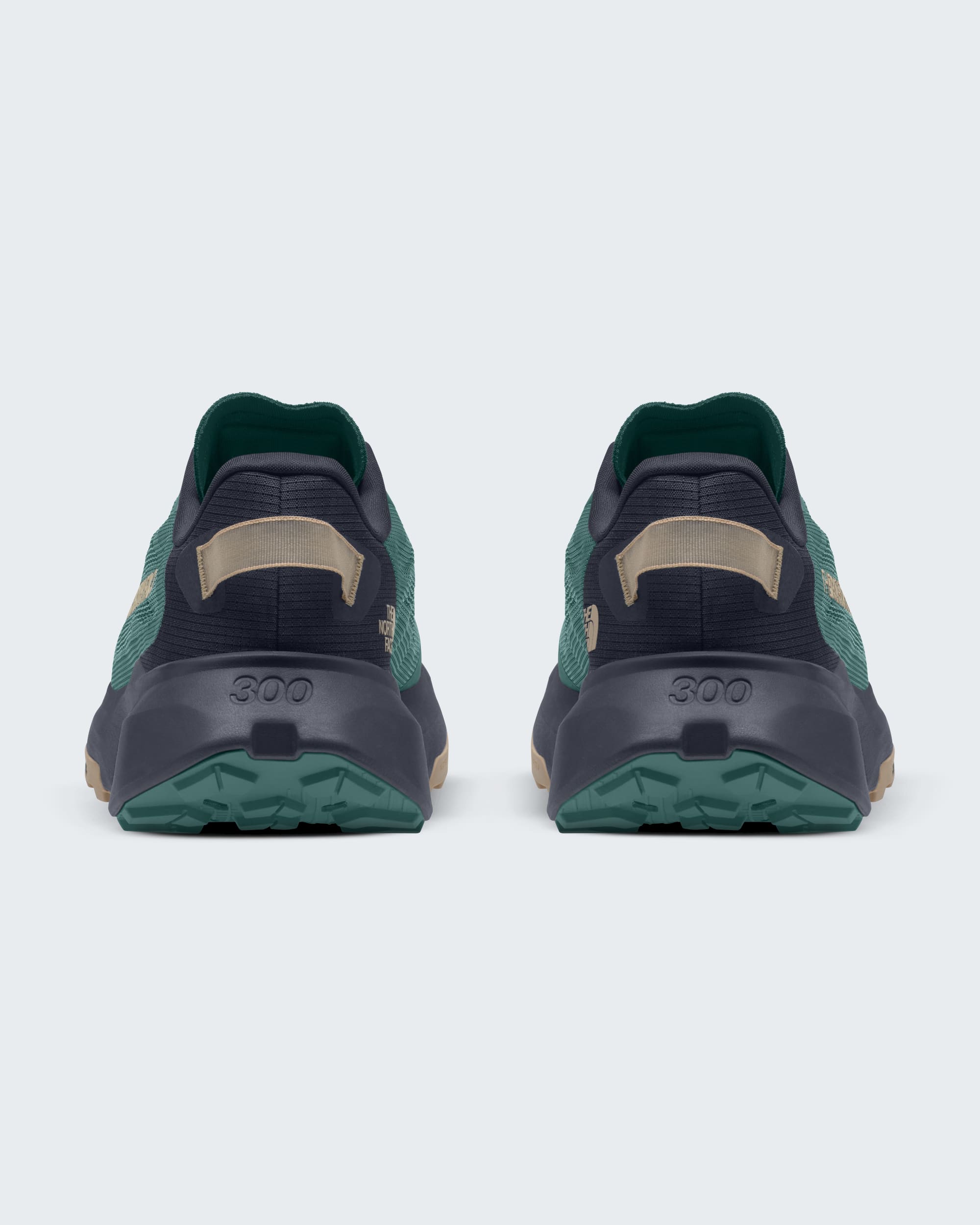 Mens Altamesa 300 V2 Shoes TNF BACK