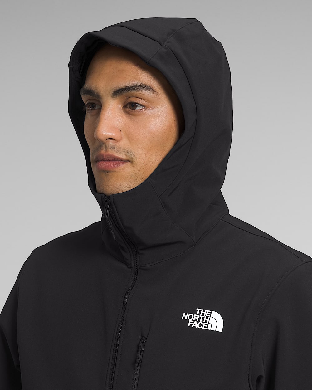 Mens Apex Bionic 3 Hoodie TNF MODELHOOD2