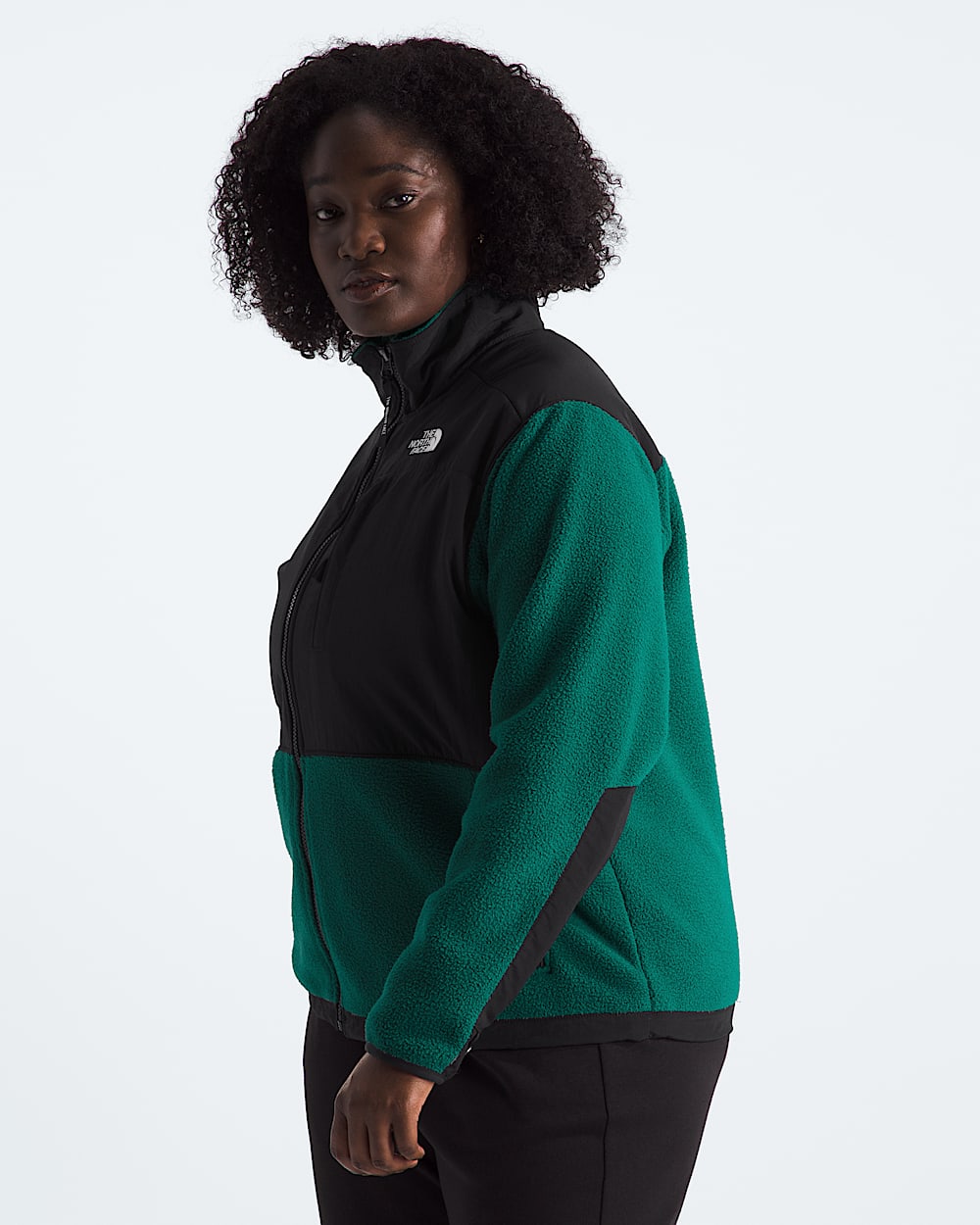 Womens Plus Retro Denali Jacket TNF MODEL34