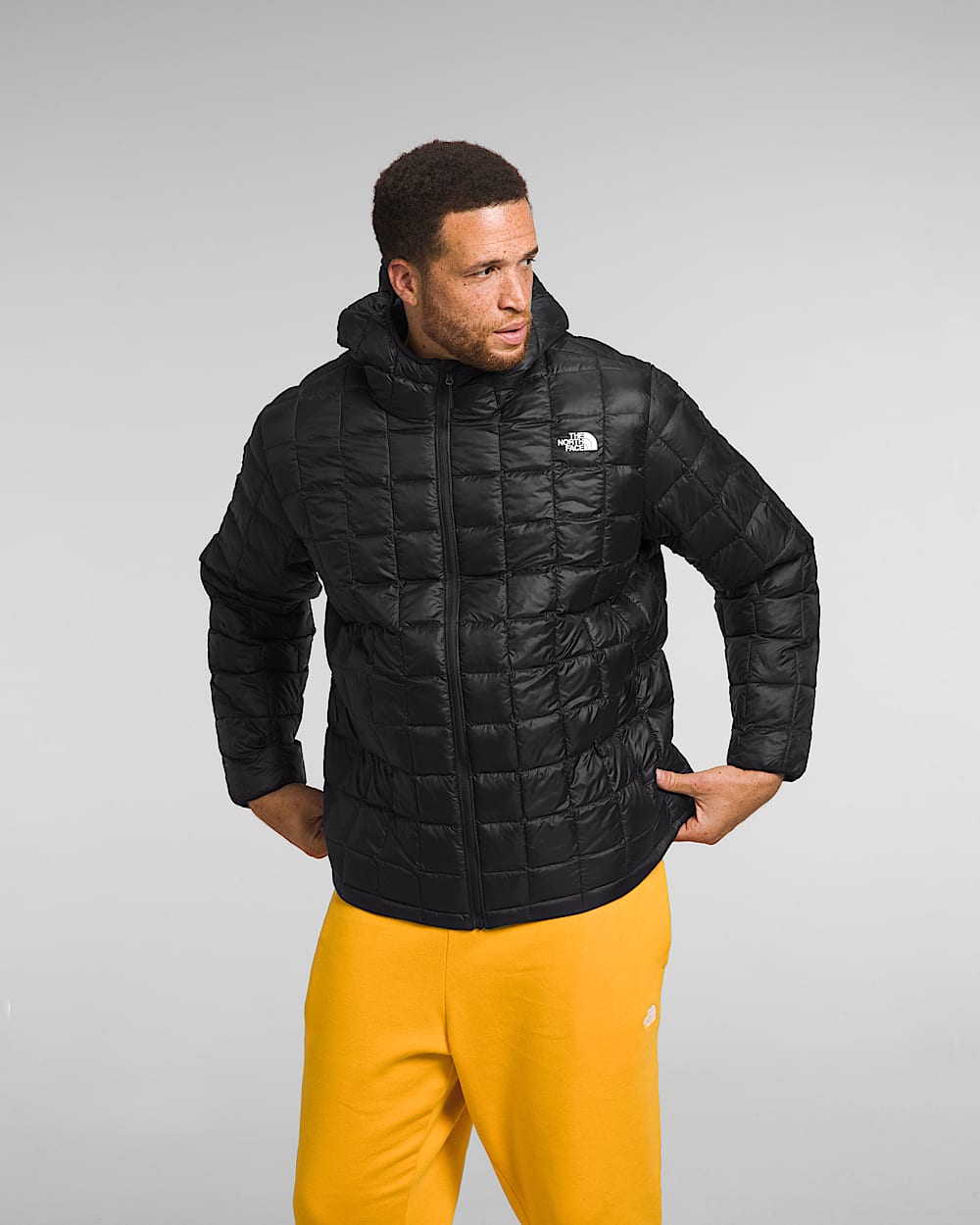 Men's Big ThermoBall™ Hoodie 2.0 | The North Face